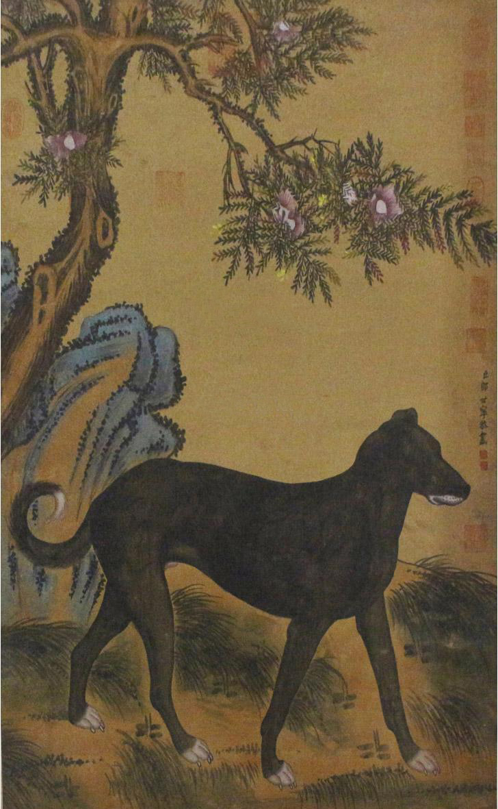 郎世宁 十骏犬图之十 雪爪卢