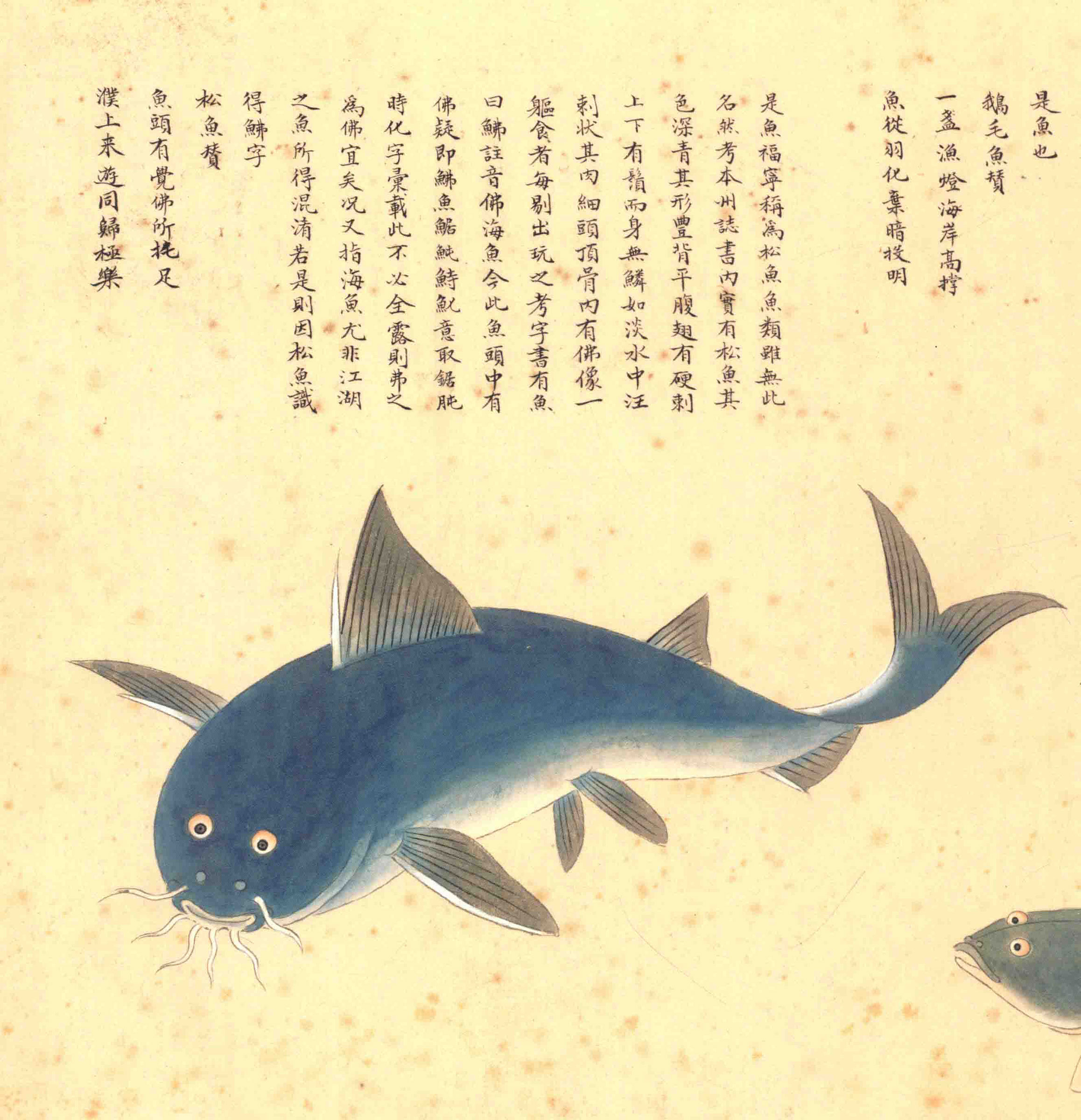 《海错图》绘画中的海底世界