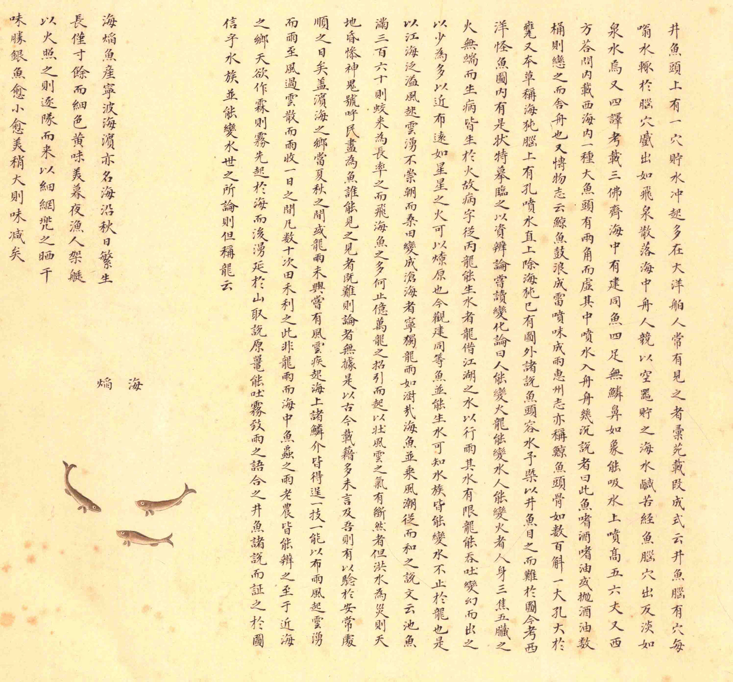 《海错图》绘画中的海底世界