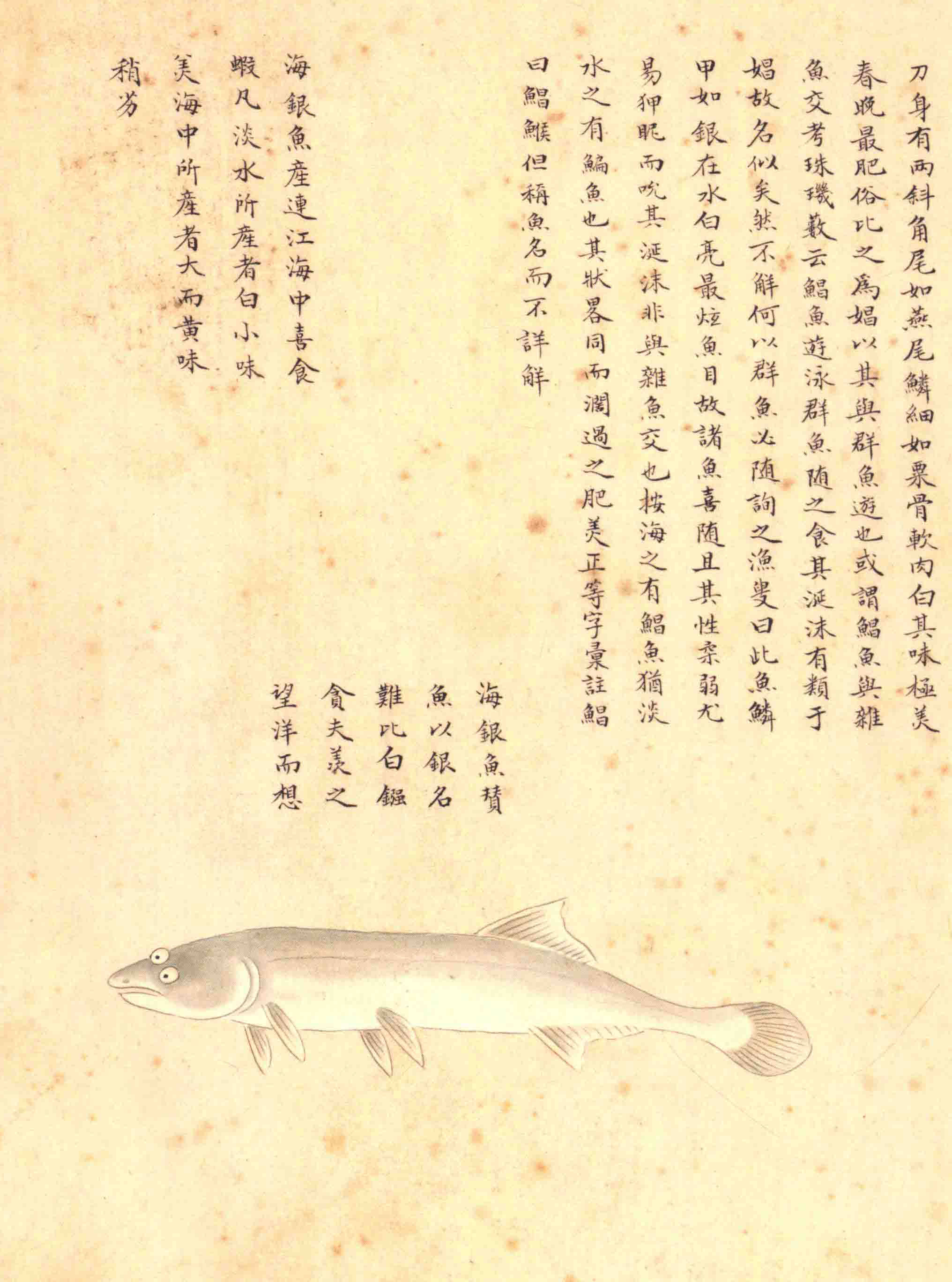 《海错图》绘画中的海底世界