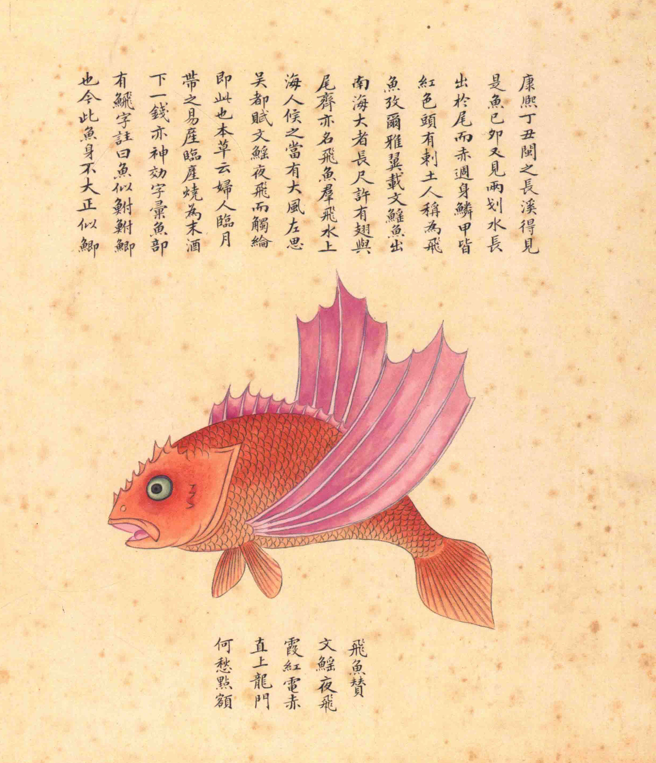 《海错图》绘画中的海底世界