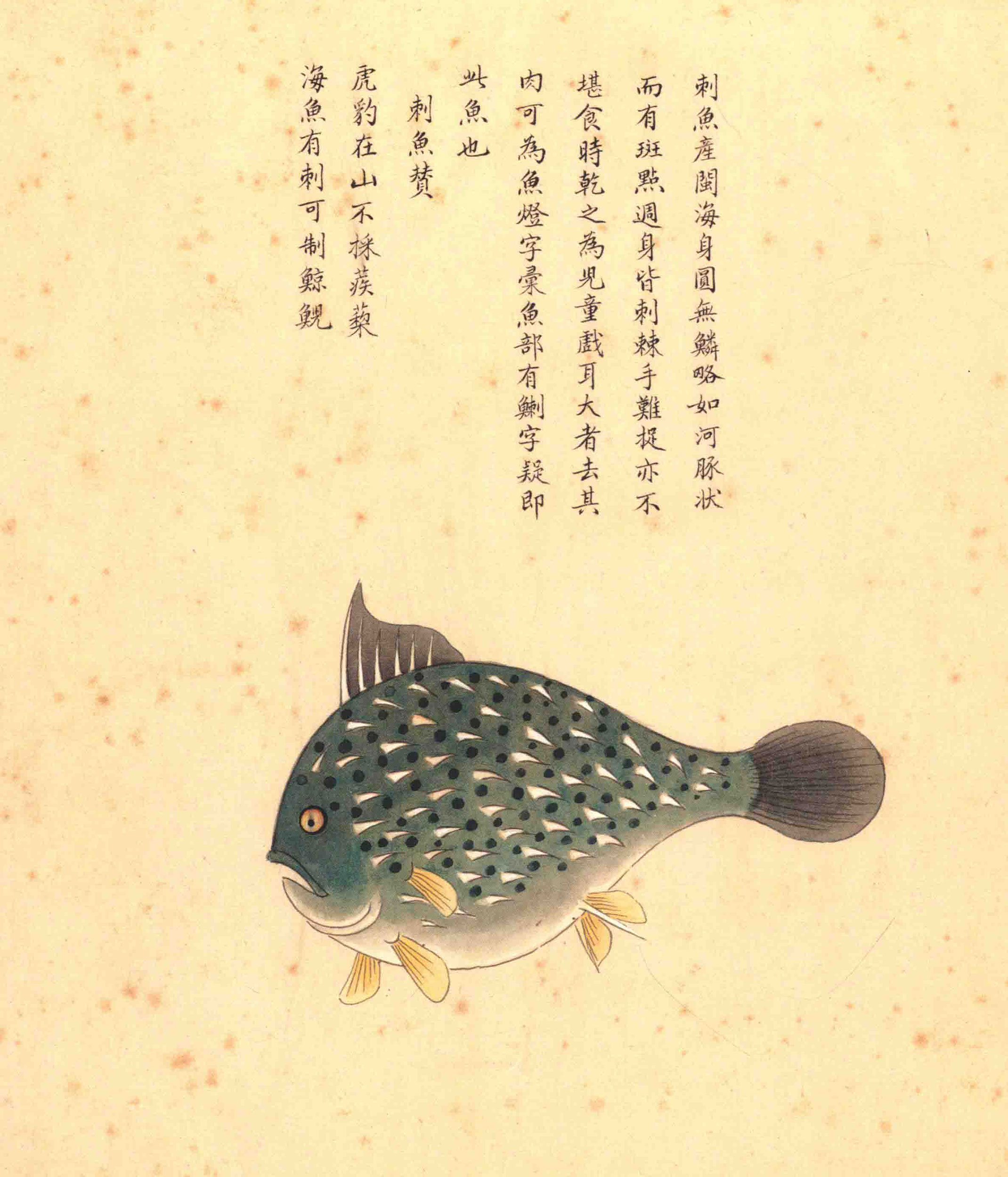 《海错图》绘画中的海底世界