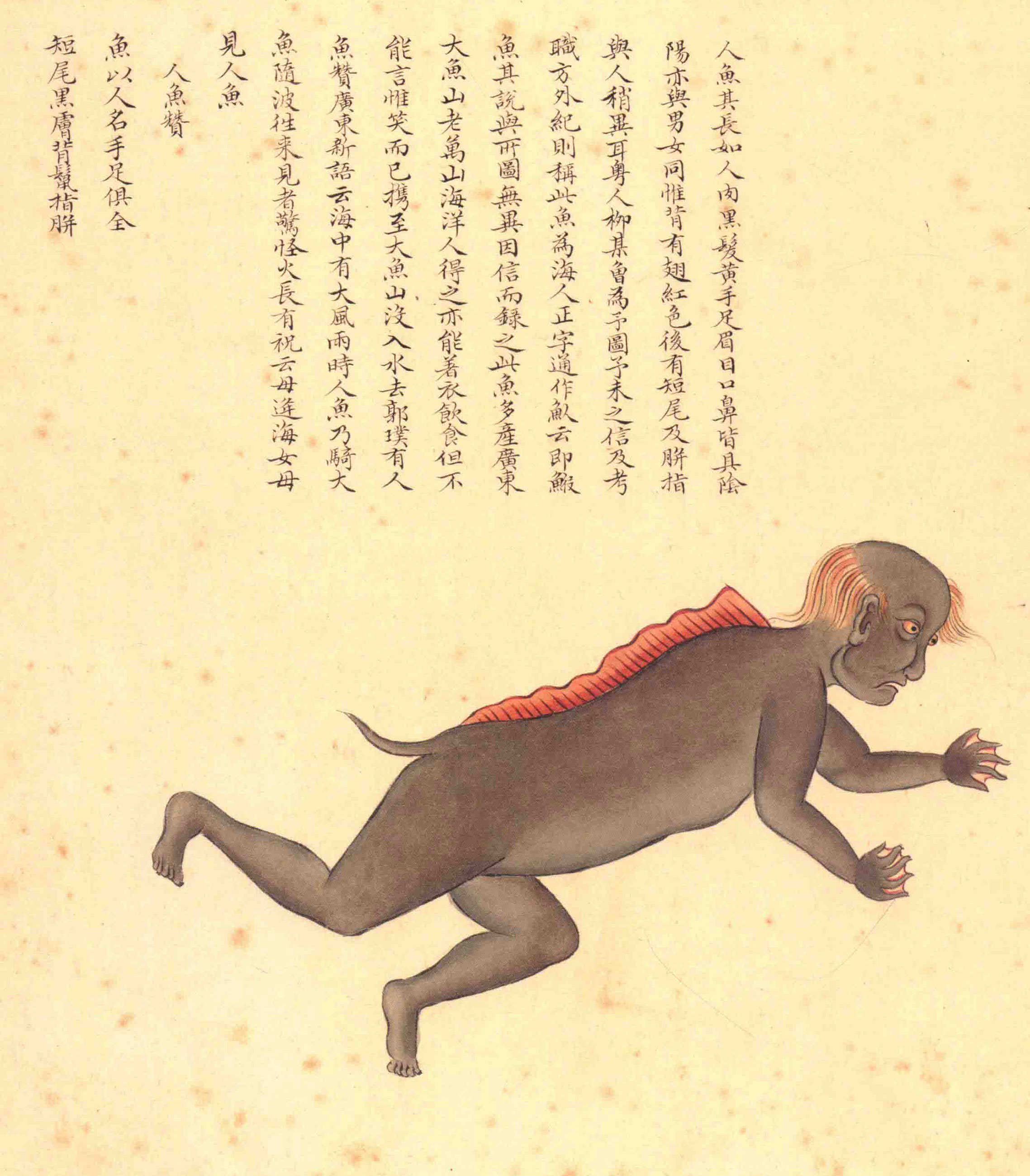 《海错图》绘画中的海底世界