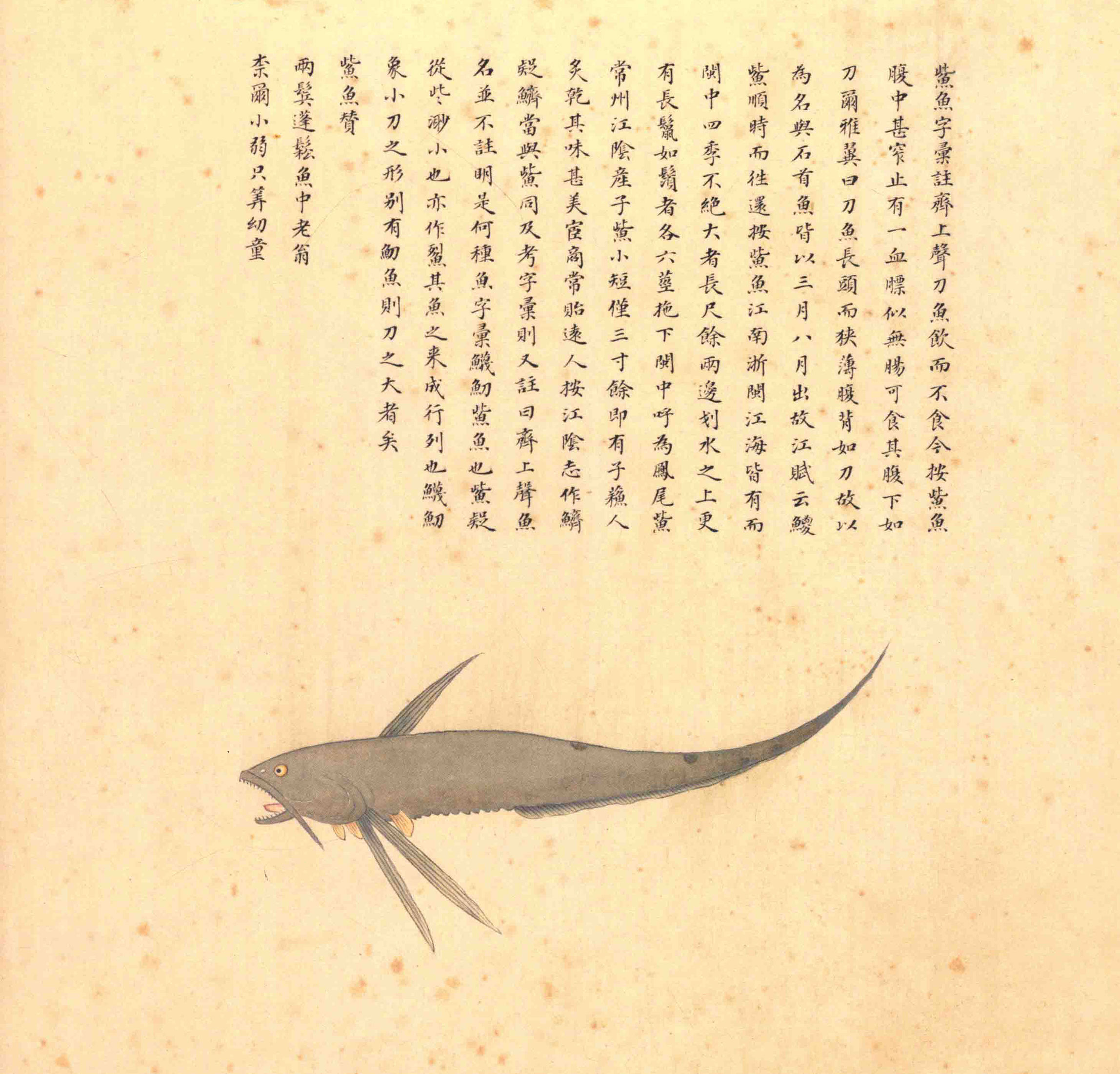 《海错图》绘画中的海底世界