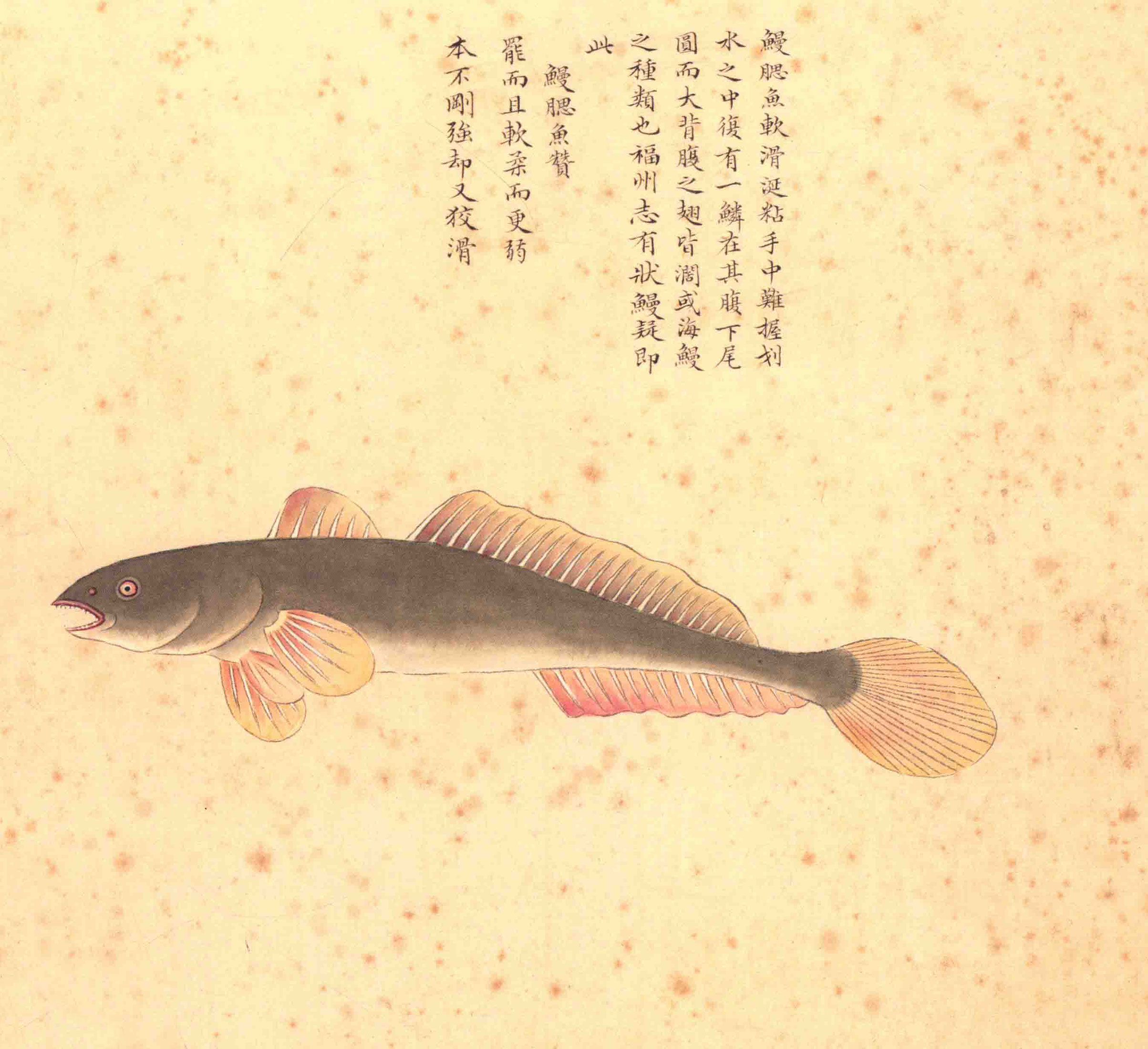 《海错图》绘画中的海底世界