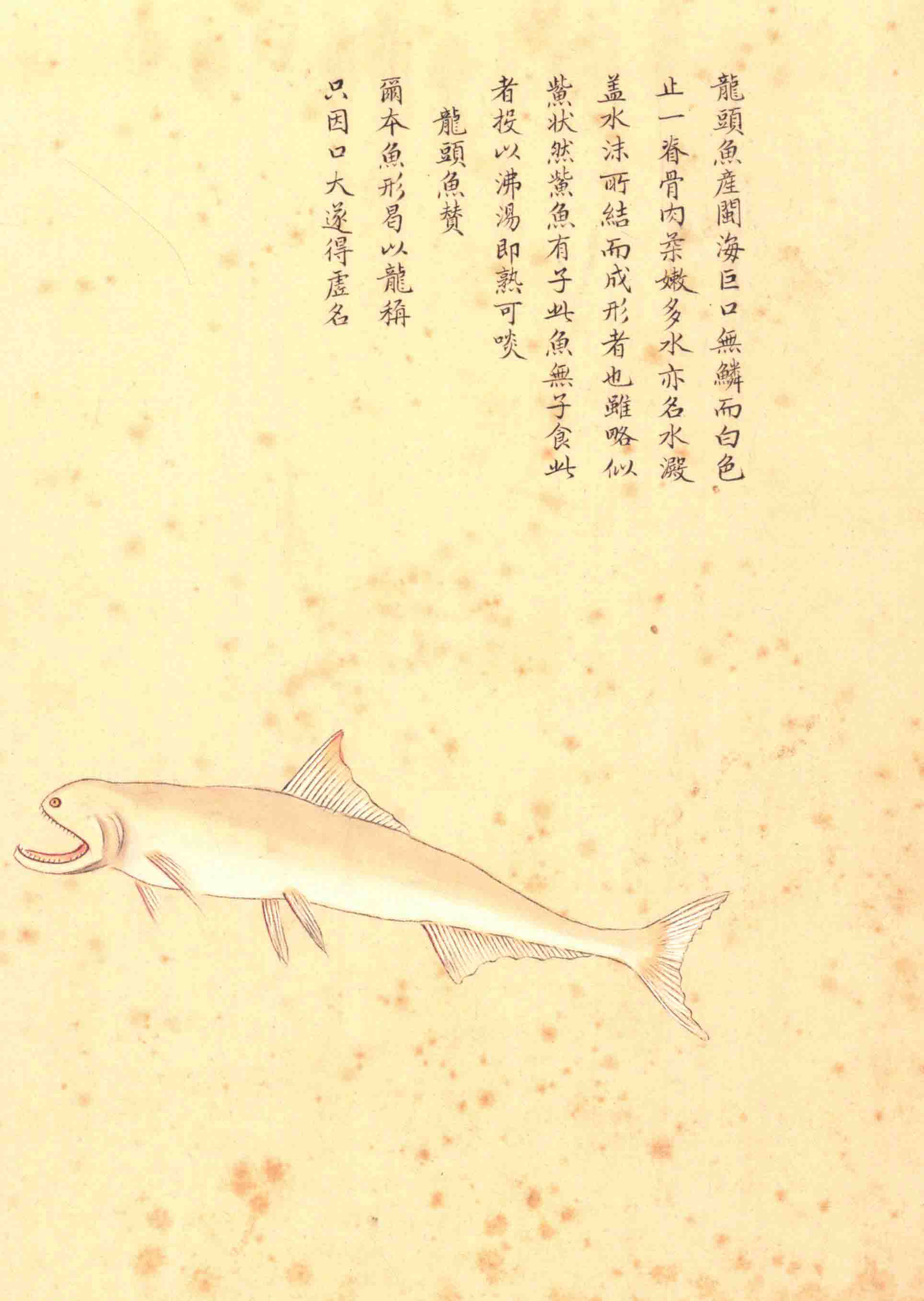 《海错图》绘画中的海底世界