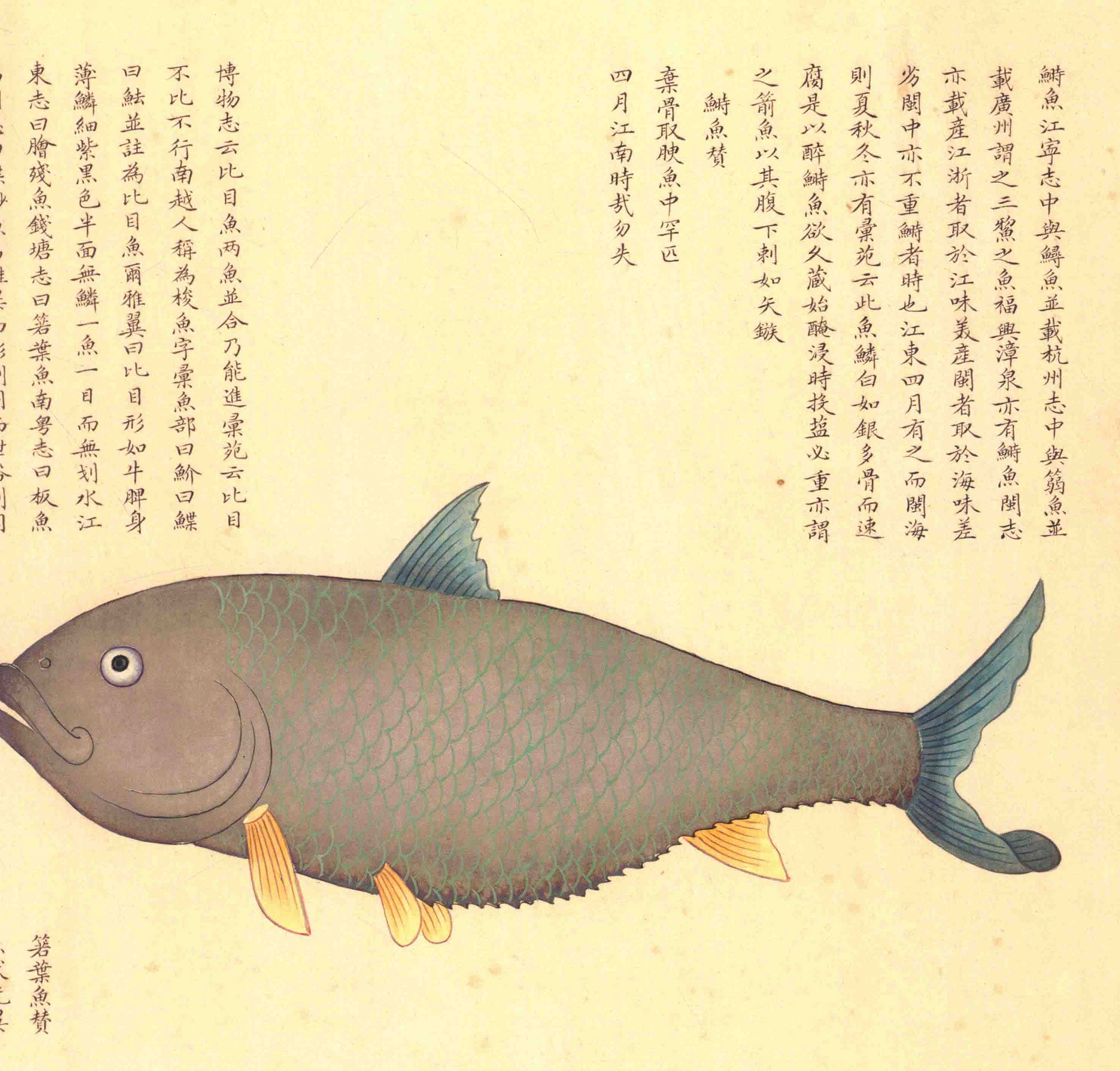 《海错图》绘画中的海底世界