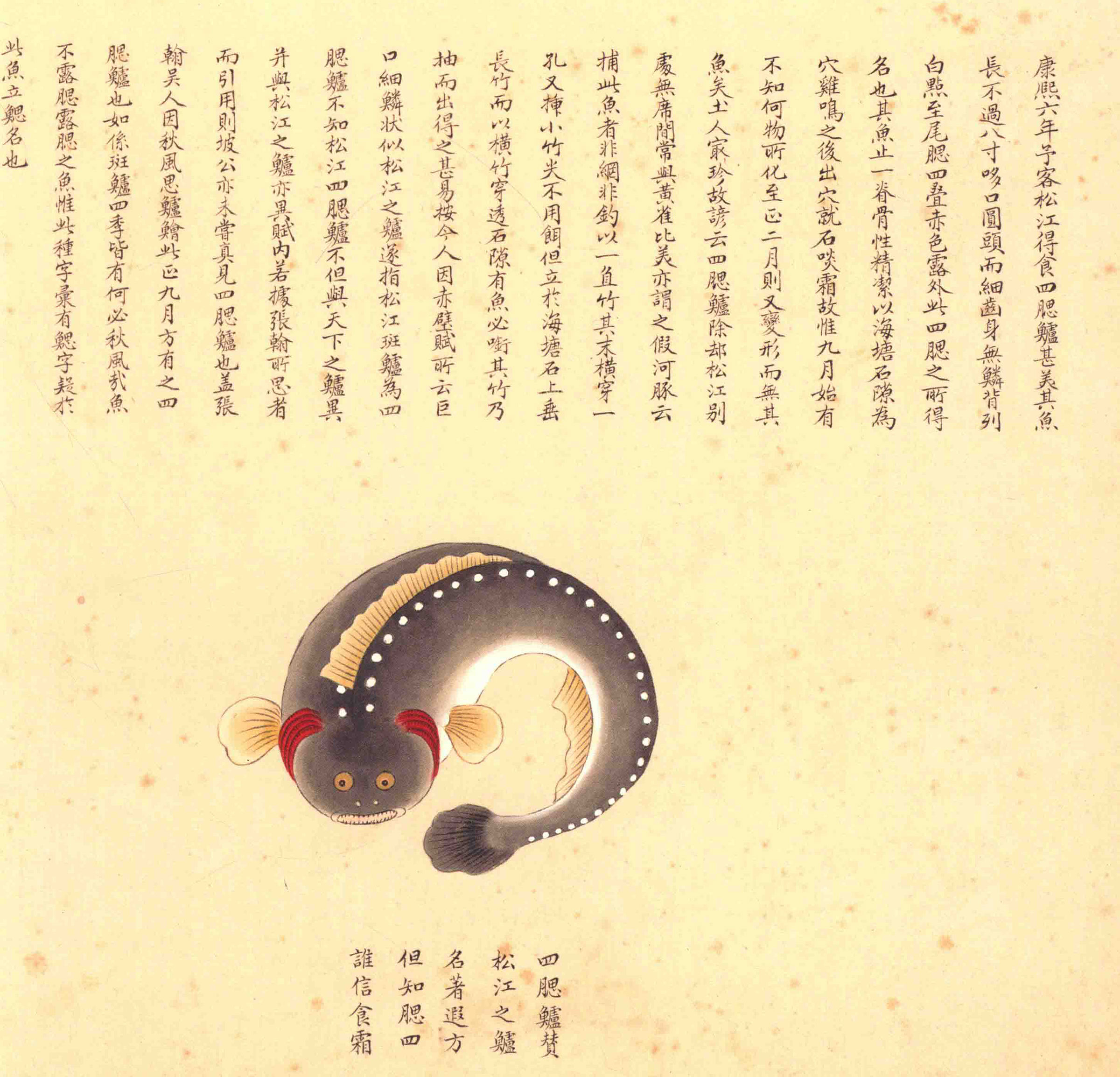 《海错图》绘画中的海底世界