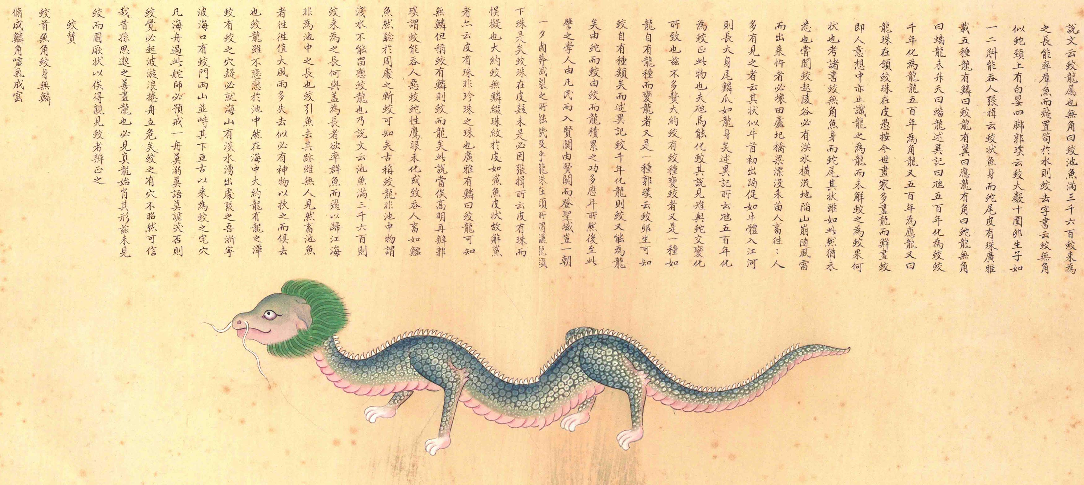《海错图》绘画中的海底世界