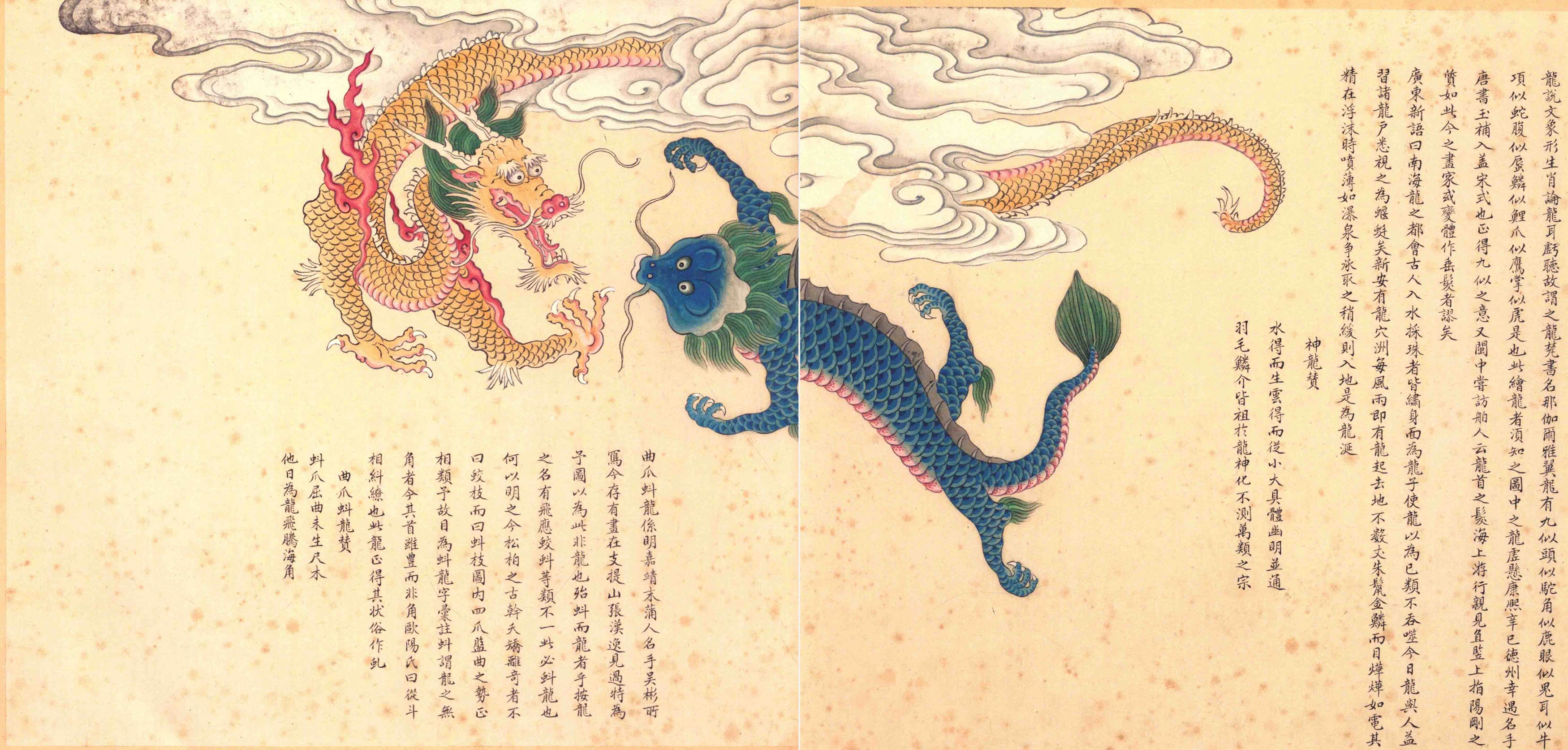 《海错图》绘画中的海底世界