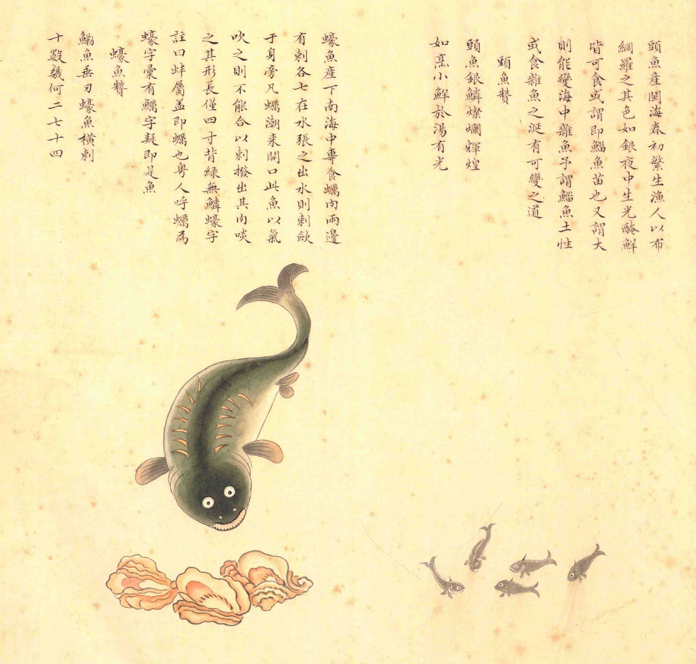 《海错图》绘画中的海底世界