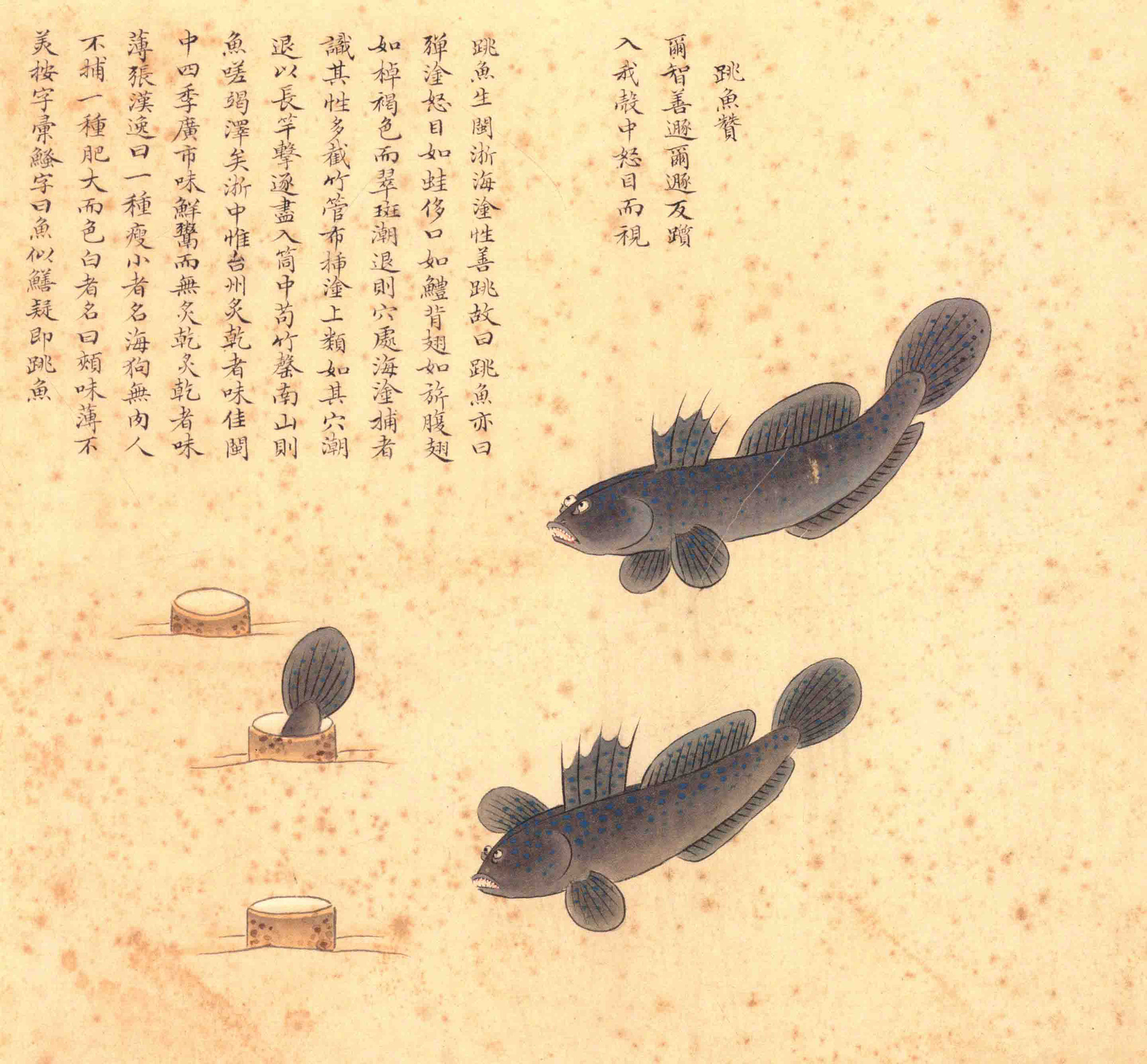 《海错图》绘画中的海底世界
