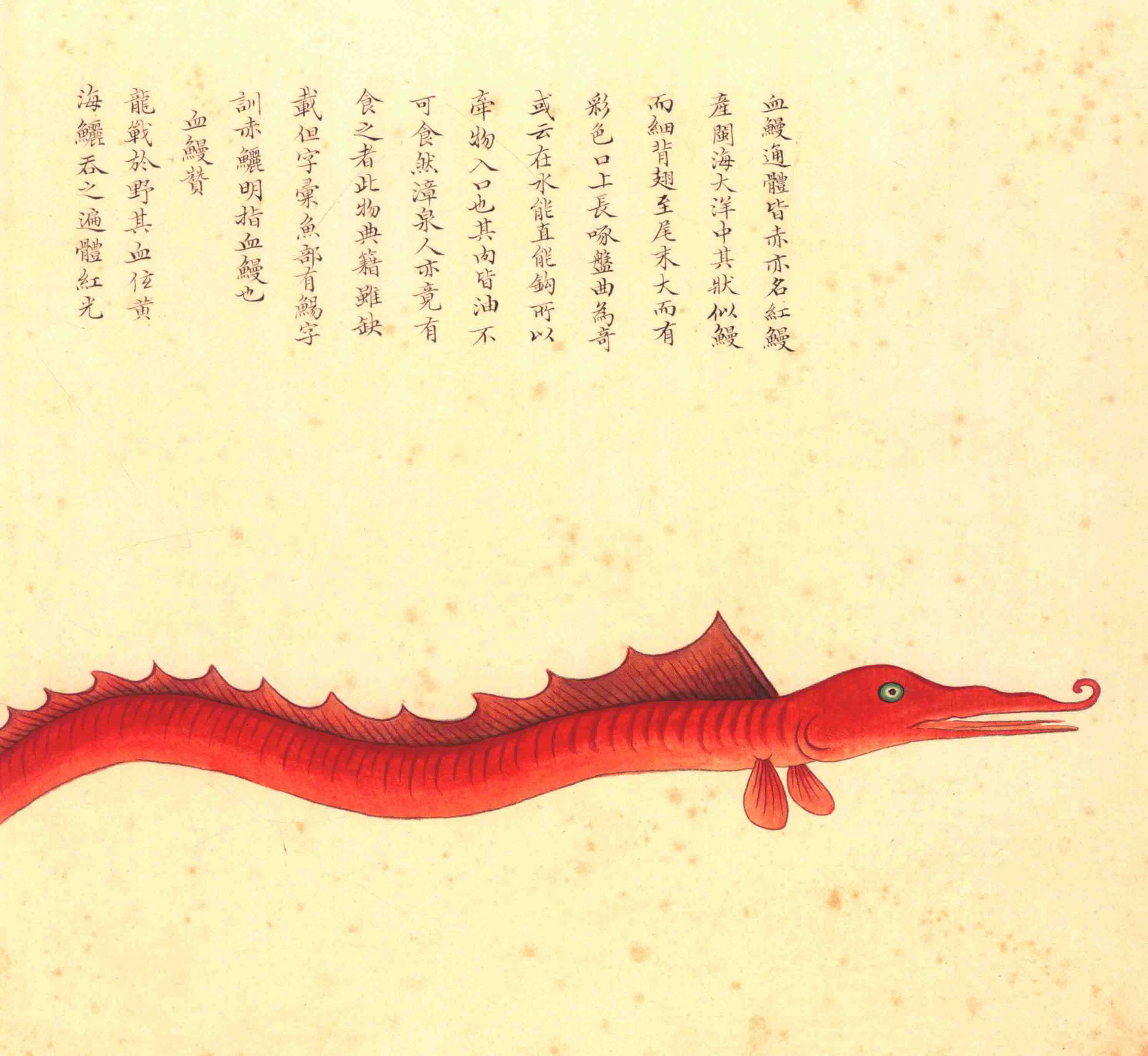 《海错图》绘画中的海底世界