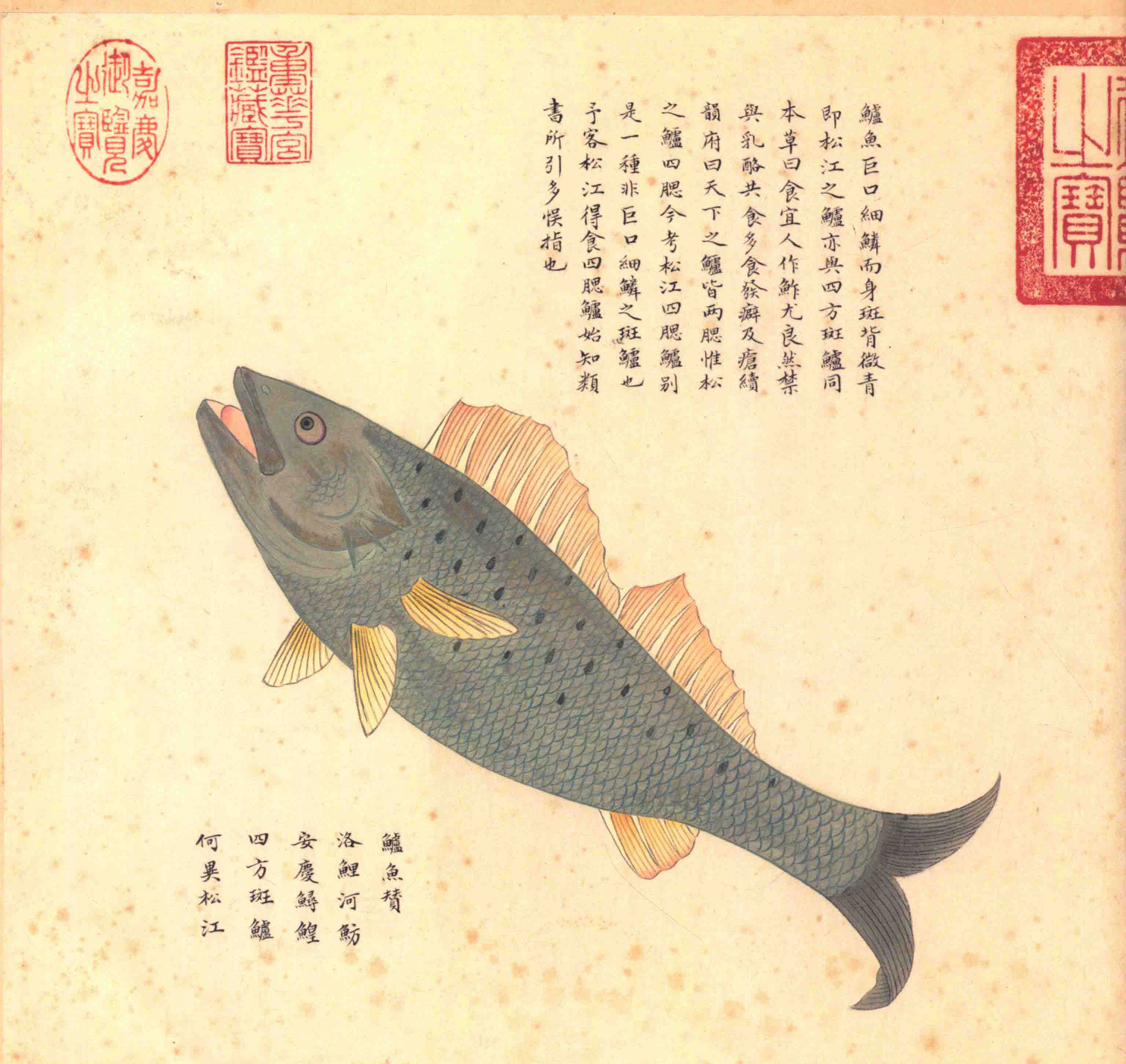 《海错图》绘画中的海底世界