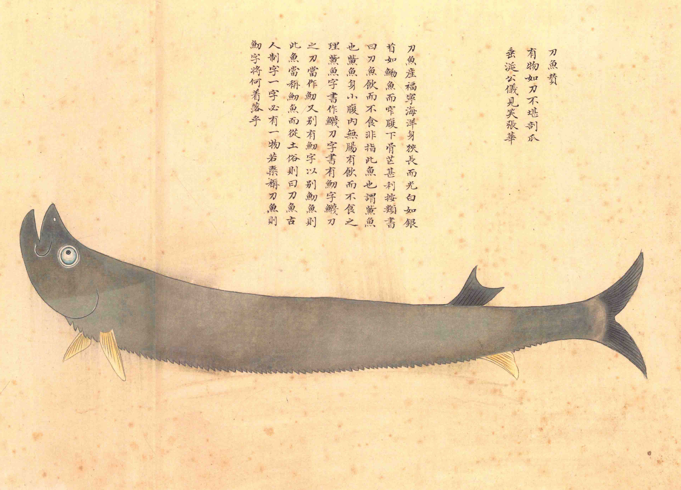 《海错图》绘画中的海底世界