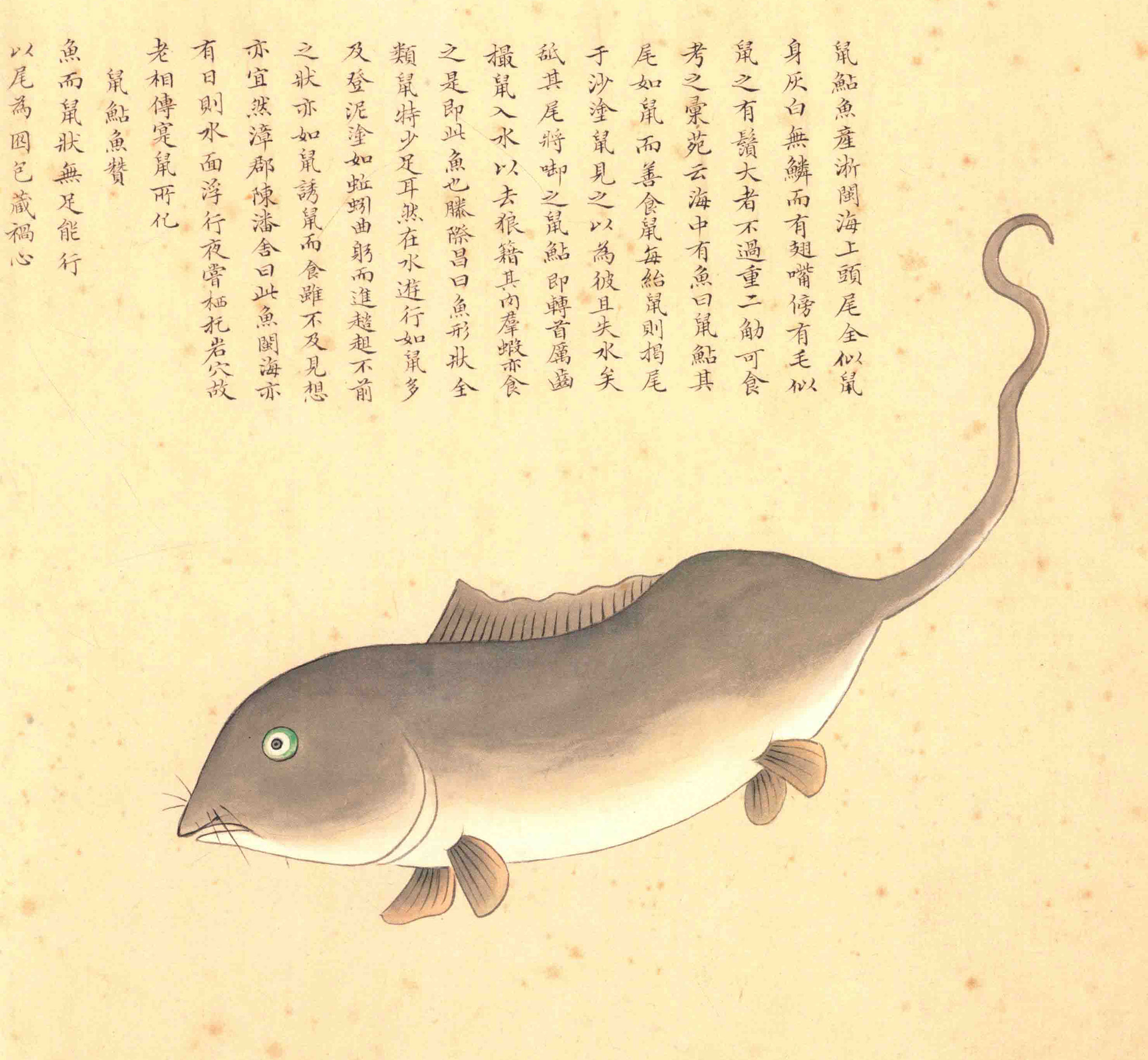 《海错图》绘画中的海底世界