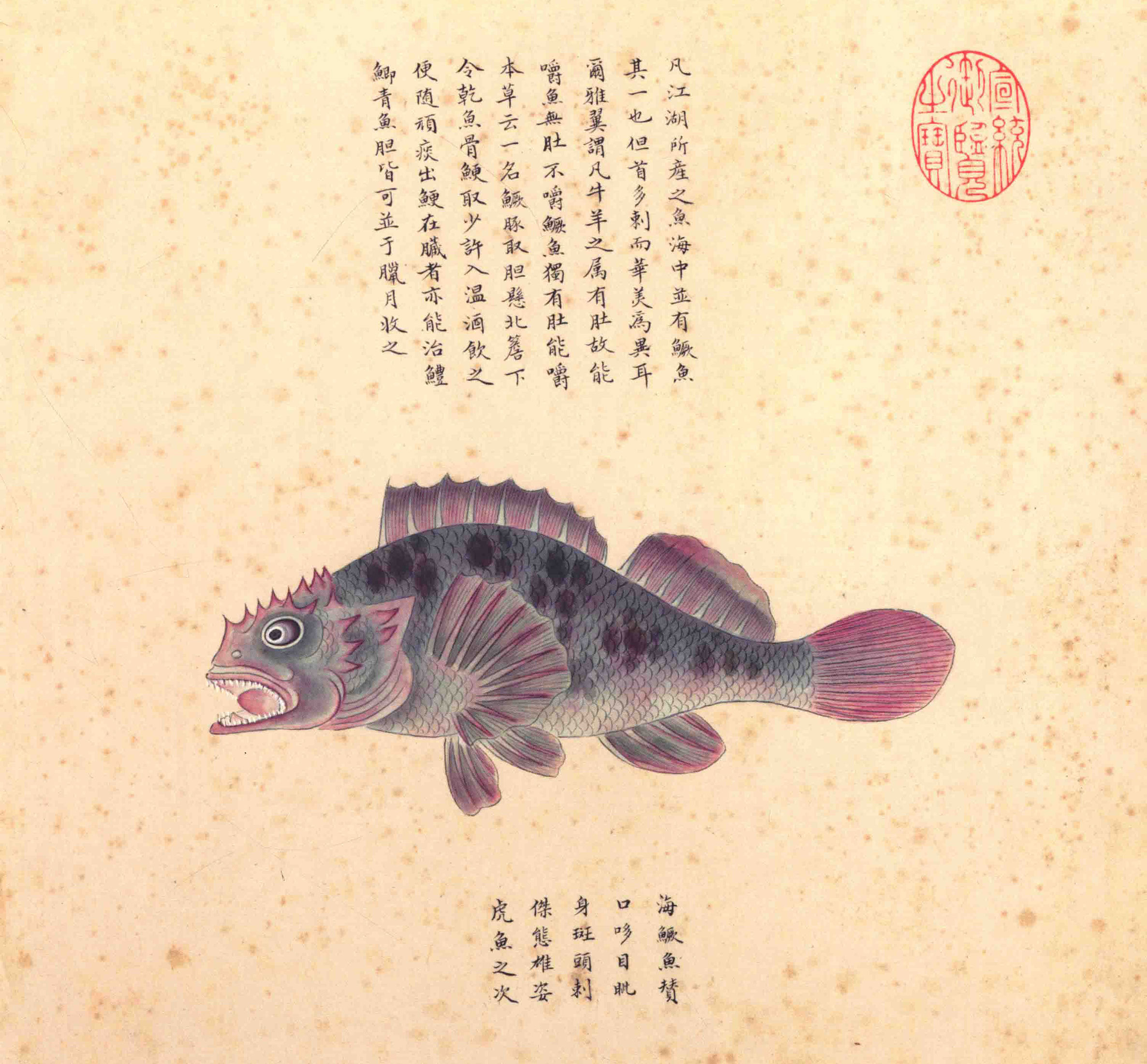 《海错图》绘画中的海底世界