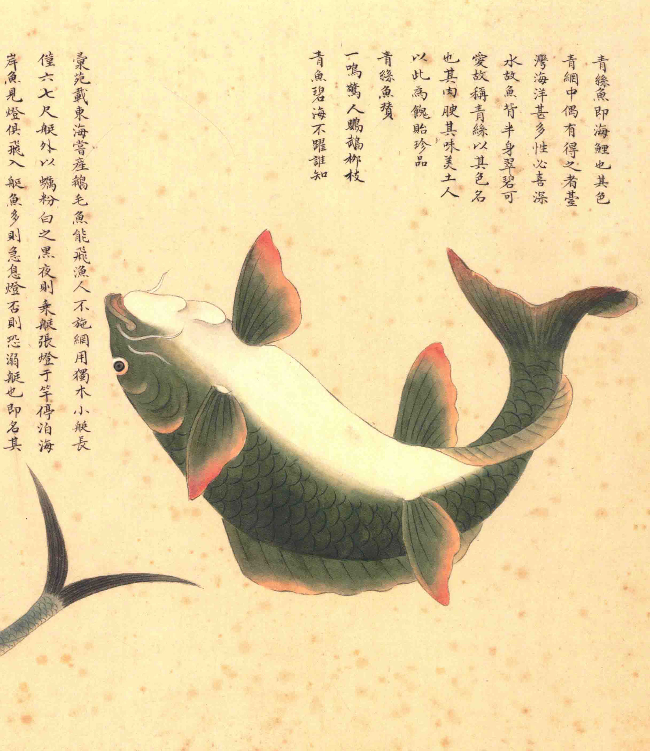 《海错图》绘画中的海底世界