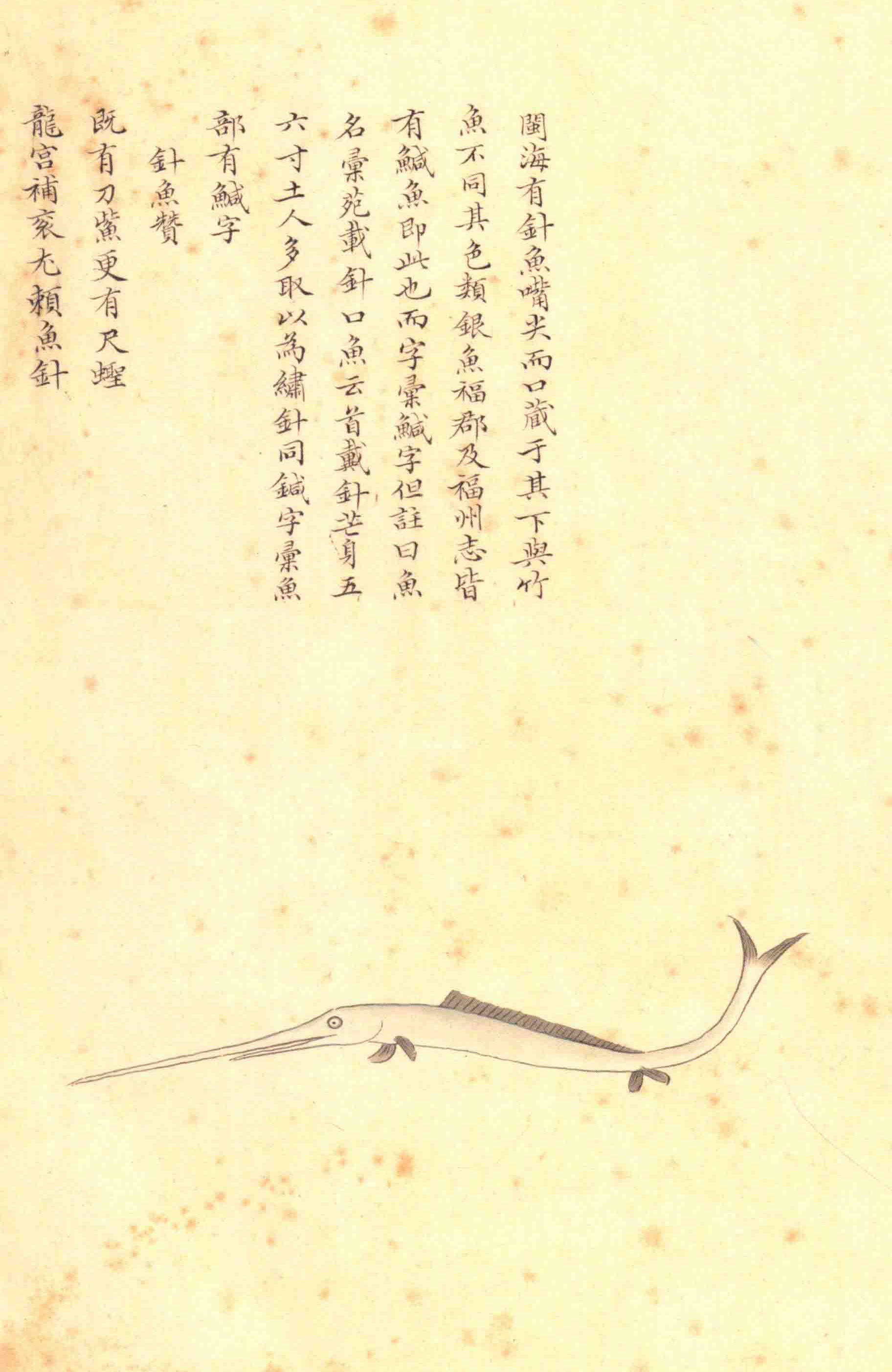 《海错图》绘画中的海底世界
