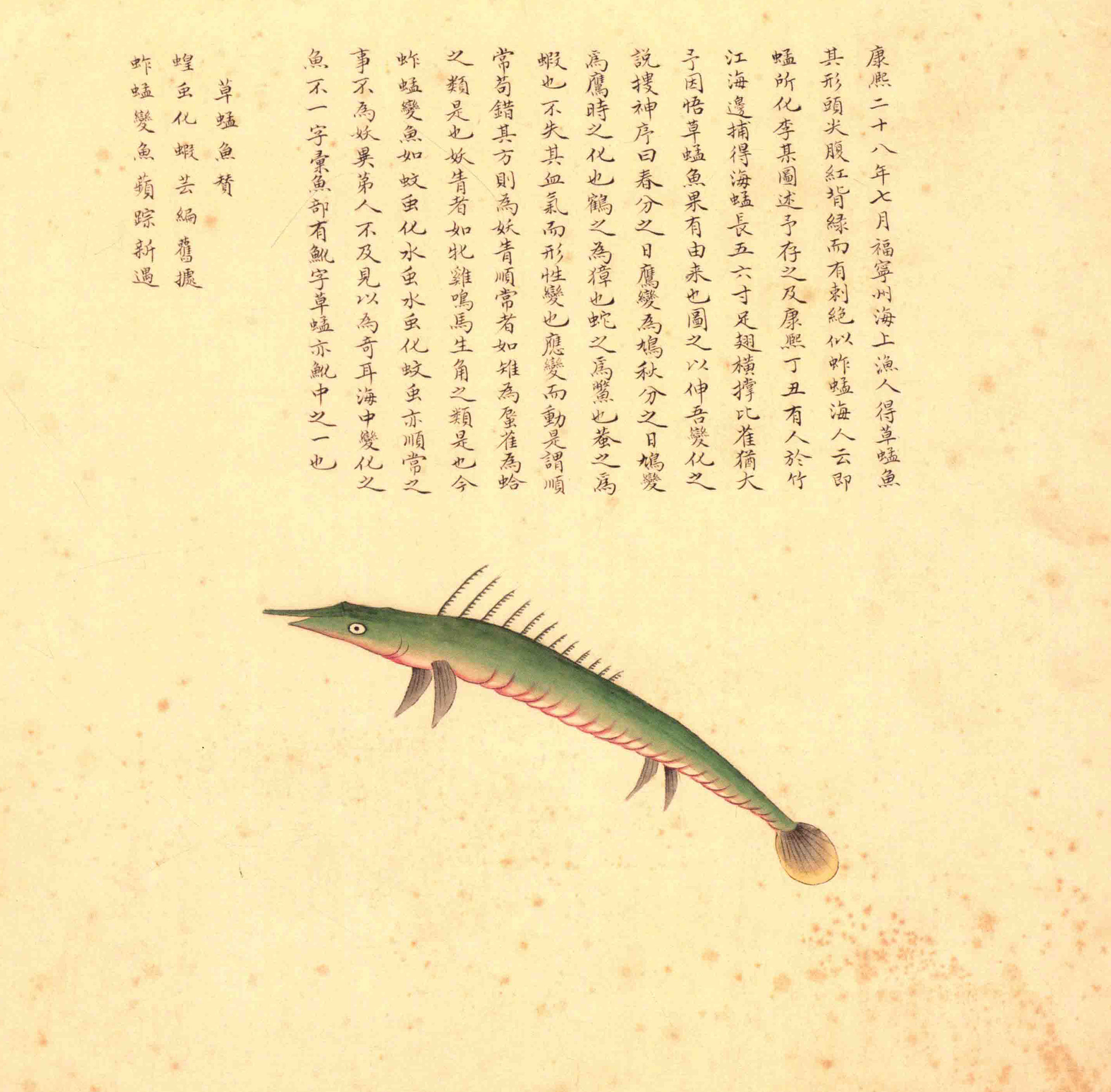 《海错图》绘画中的海底世界