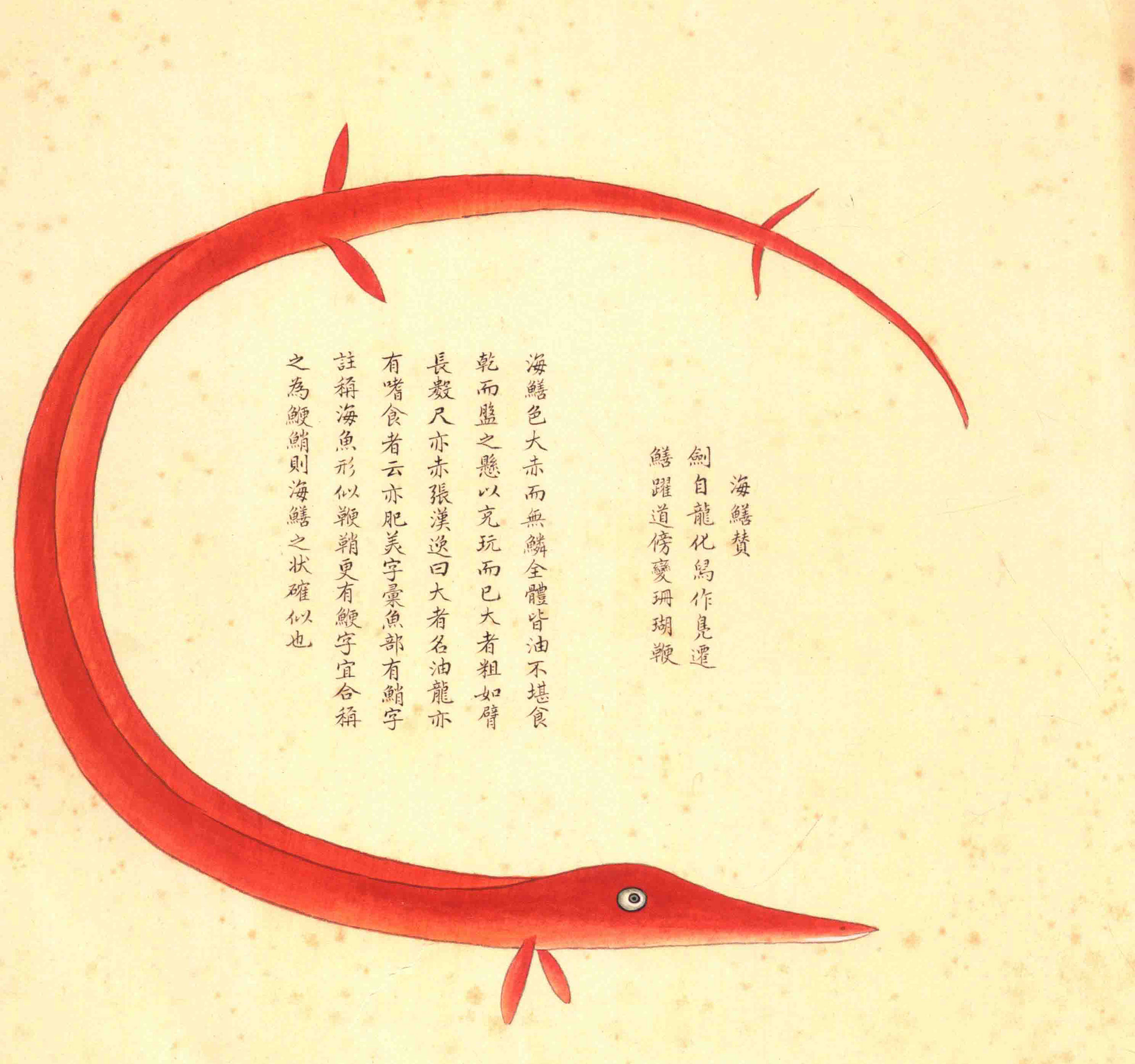 《海错图》绘画中的海底世界