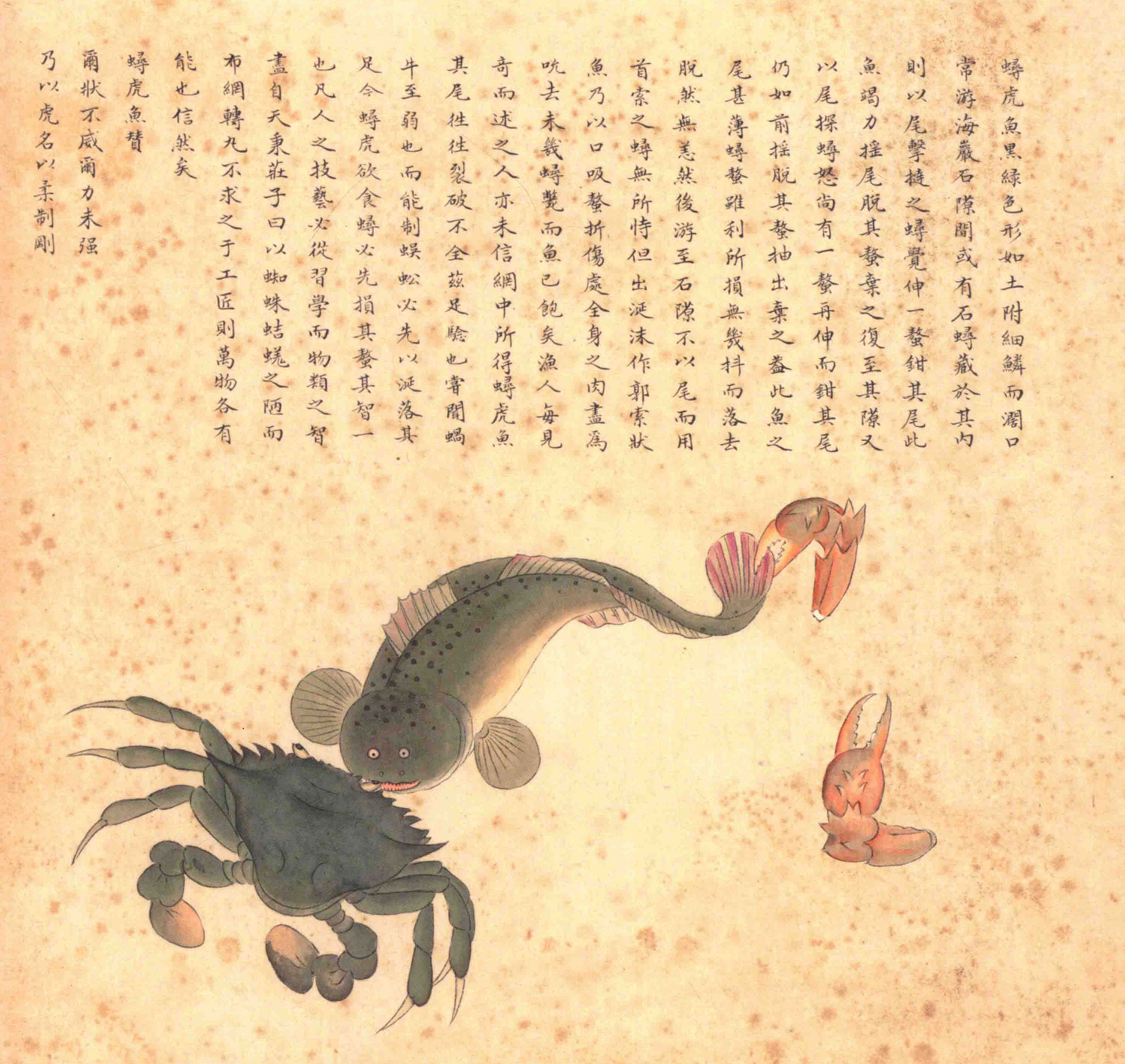 《海错图》绘画中的海底世界
