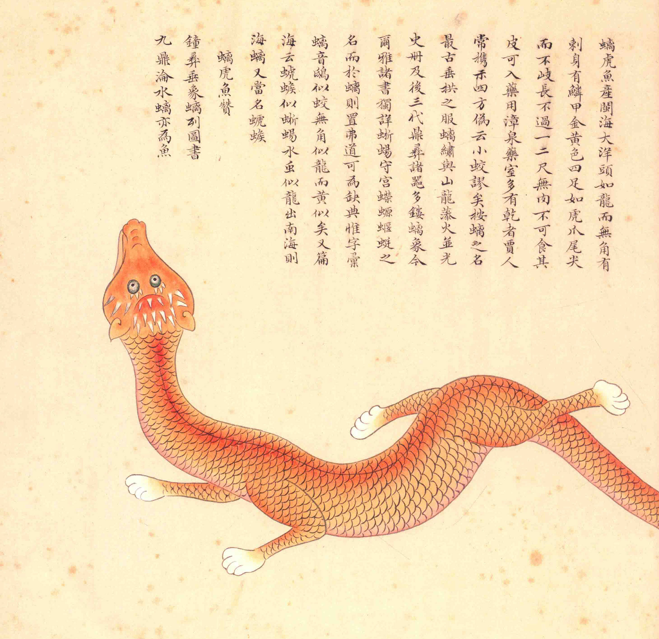 《海错图》绘画中的海底世界