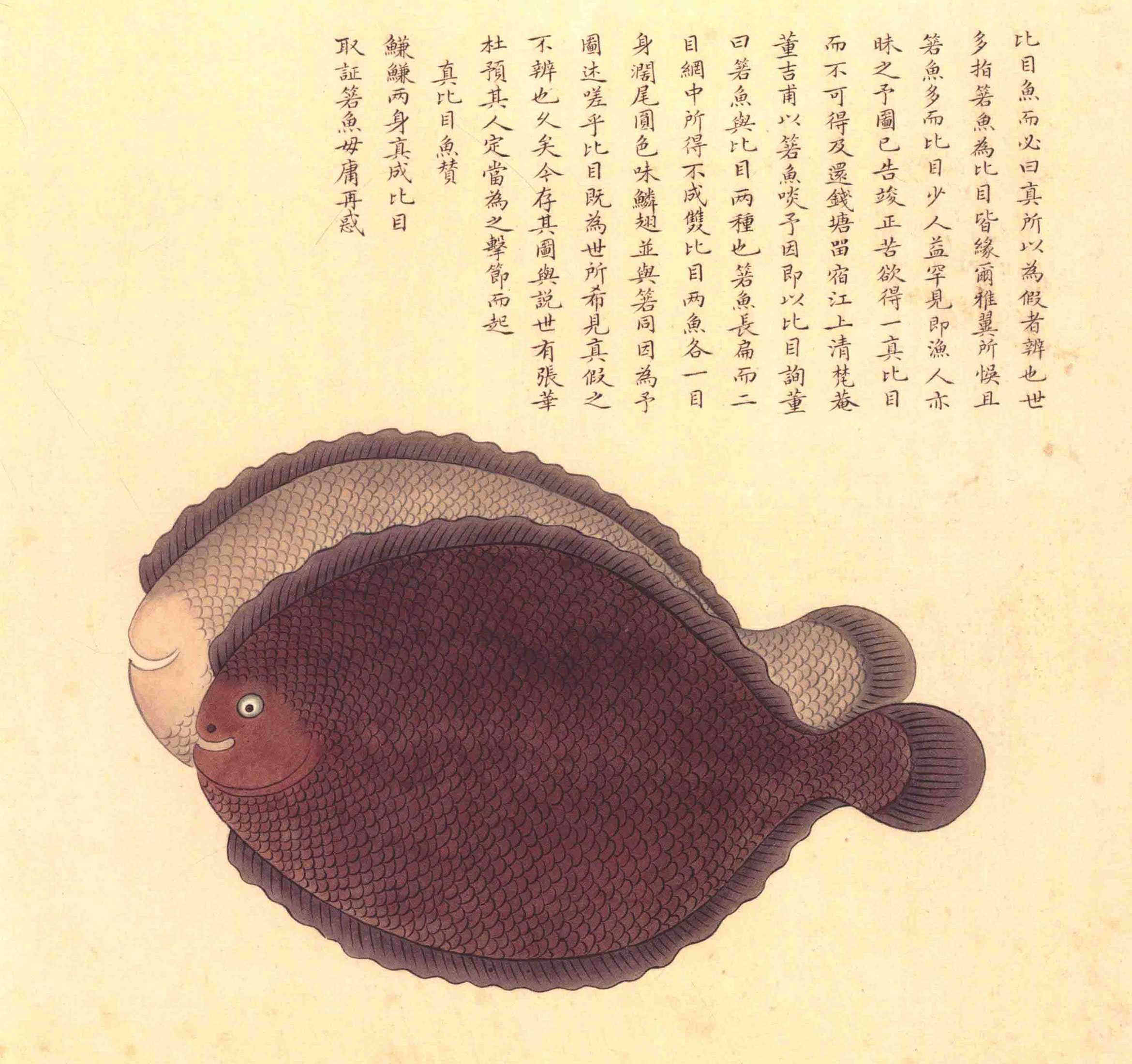 《海错图》绘画中的海底世界