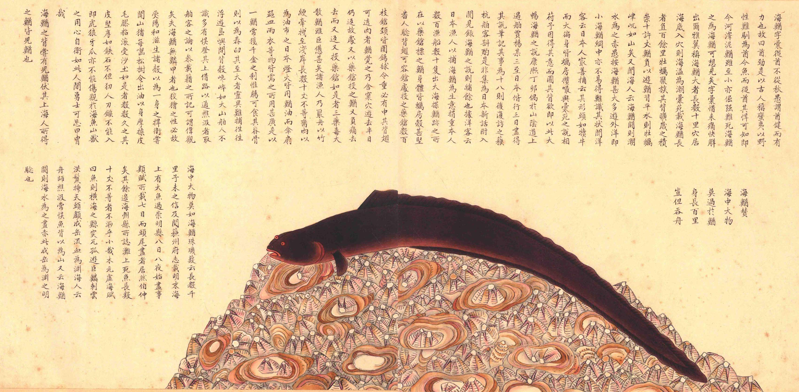 《海错图》绘画中的海底世界