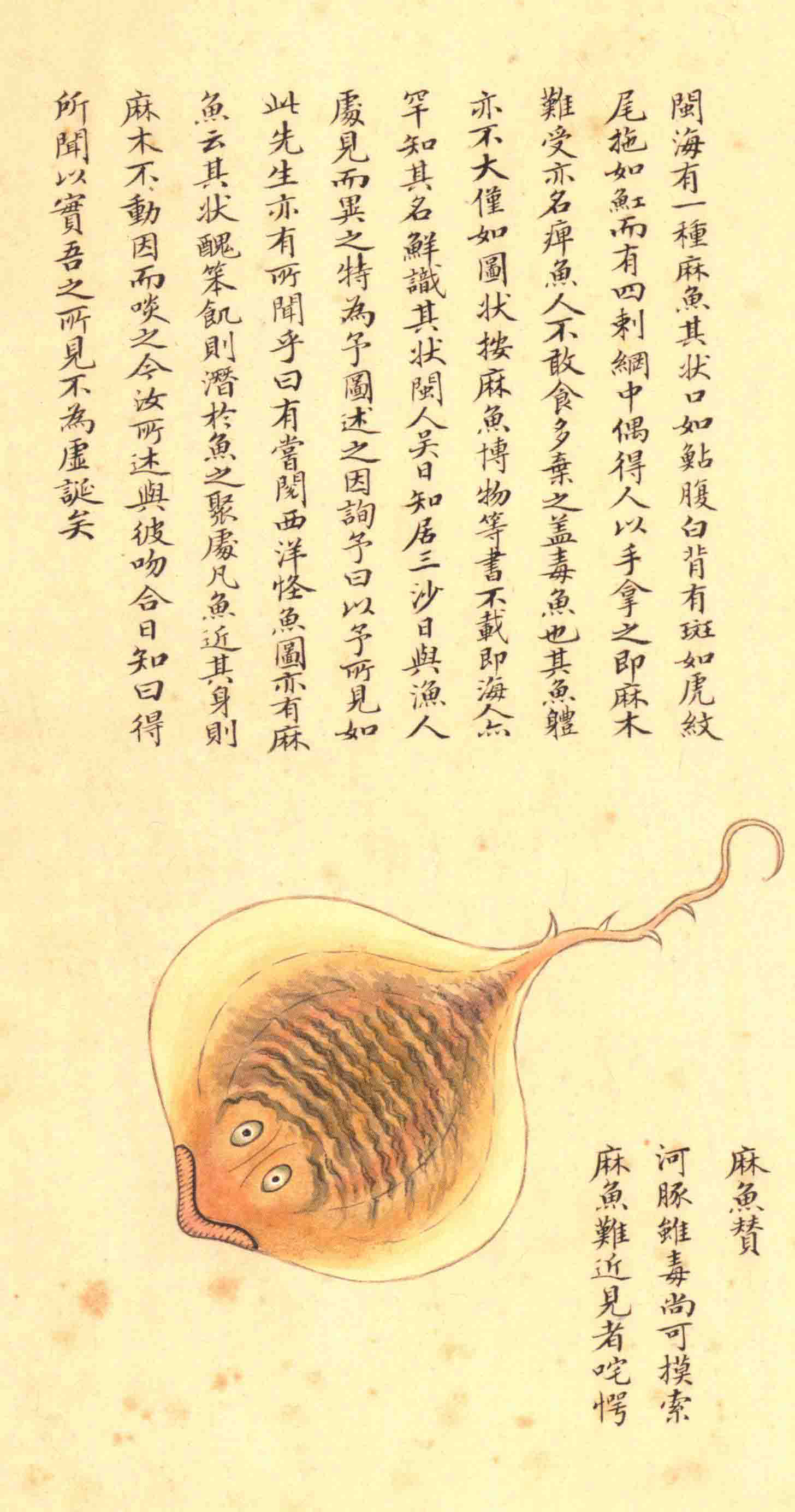 《海错图》绘画中的海底世界