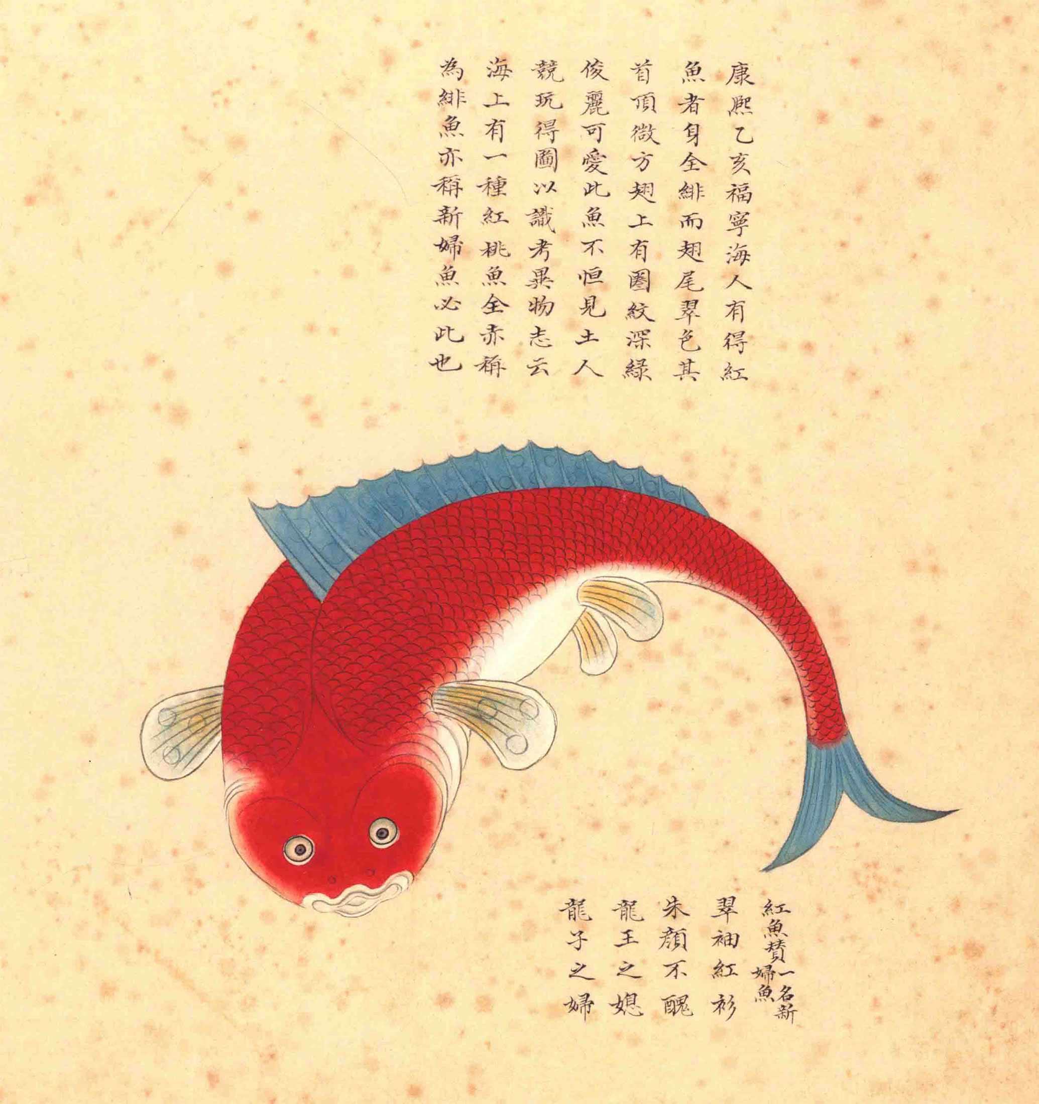 《海错图》绘画中的海底世界