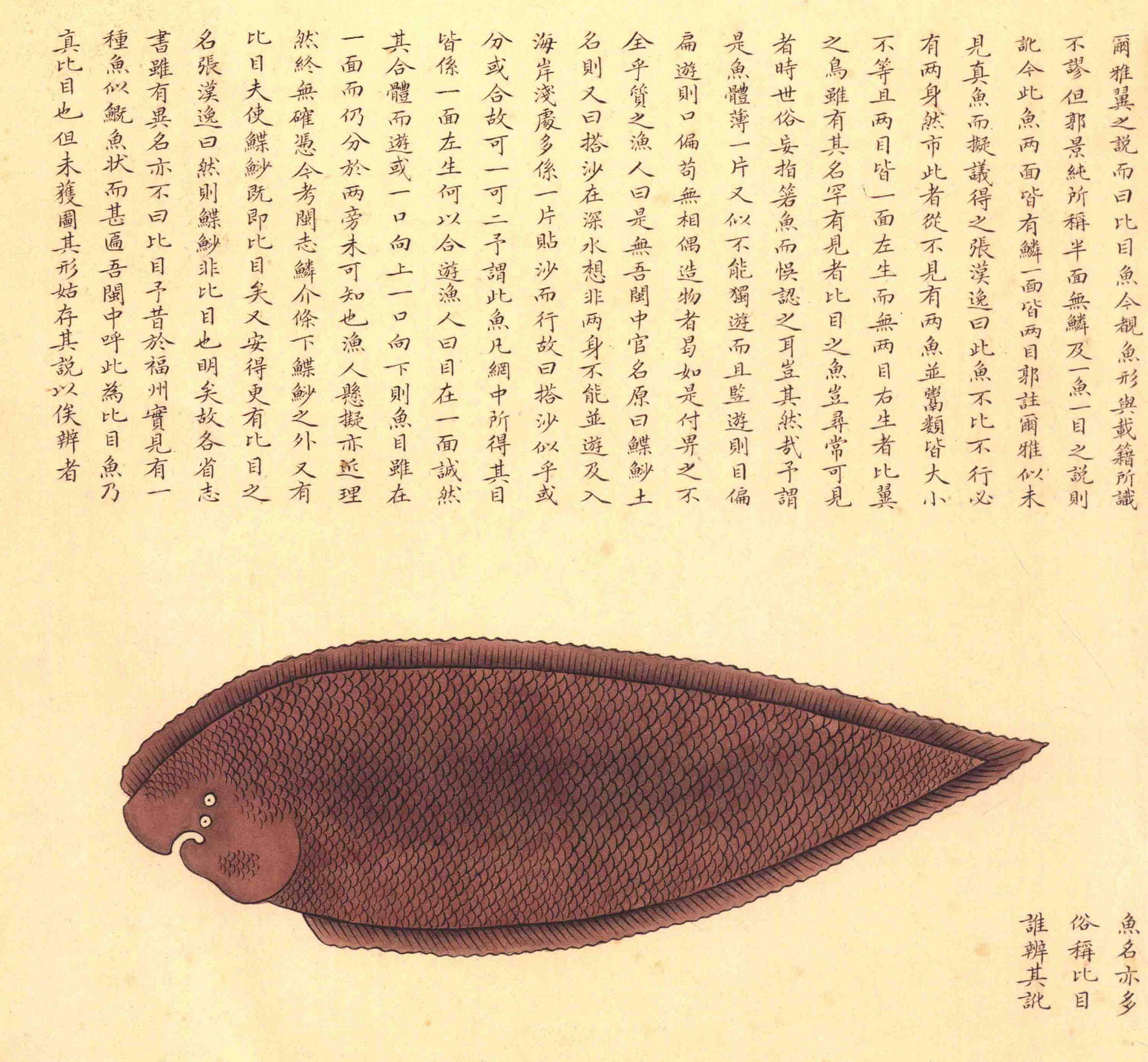 《海错图》绘画中的海底世界