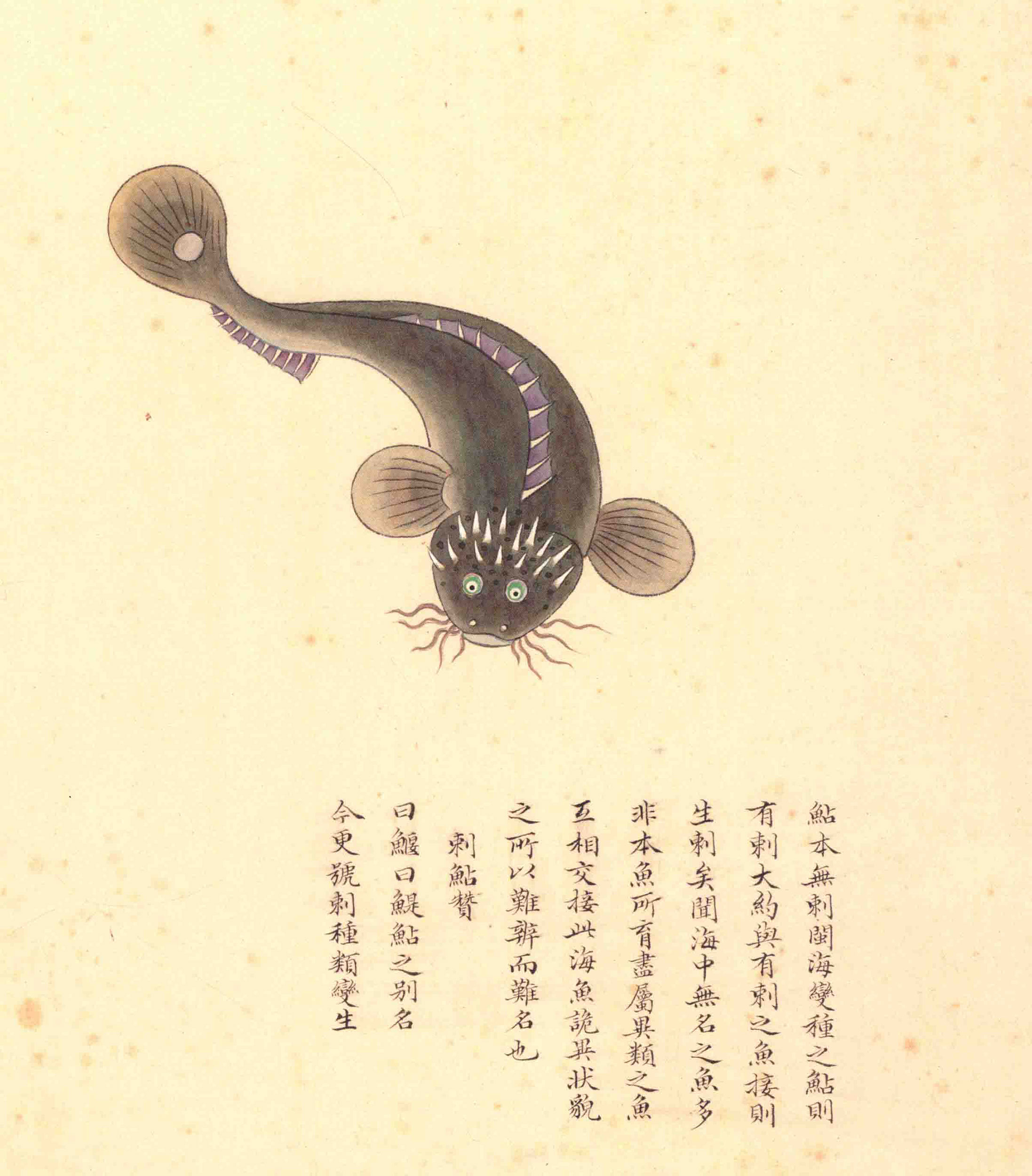 《海错图》绘画中的海底世界