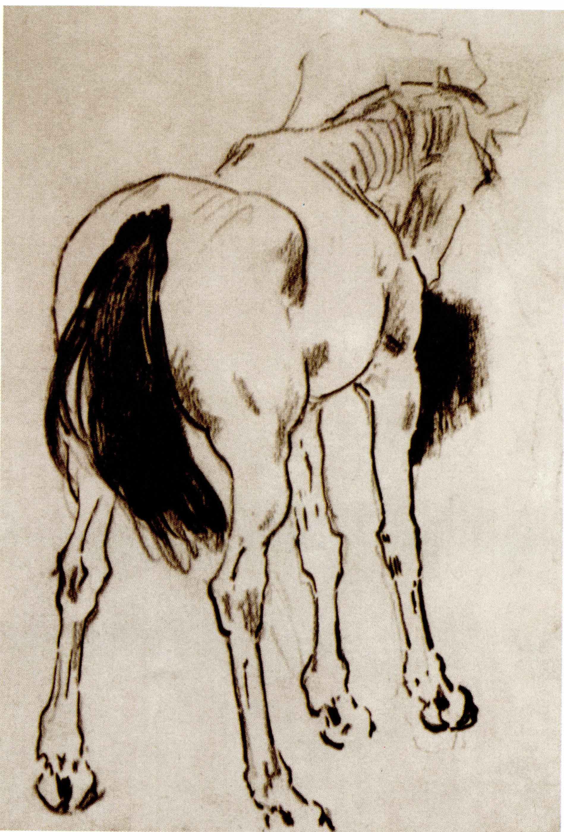 造型的力量——徐悲鸿经典素描集
