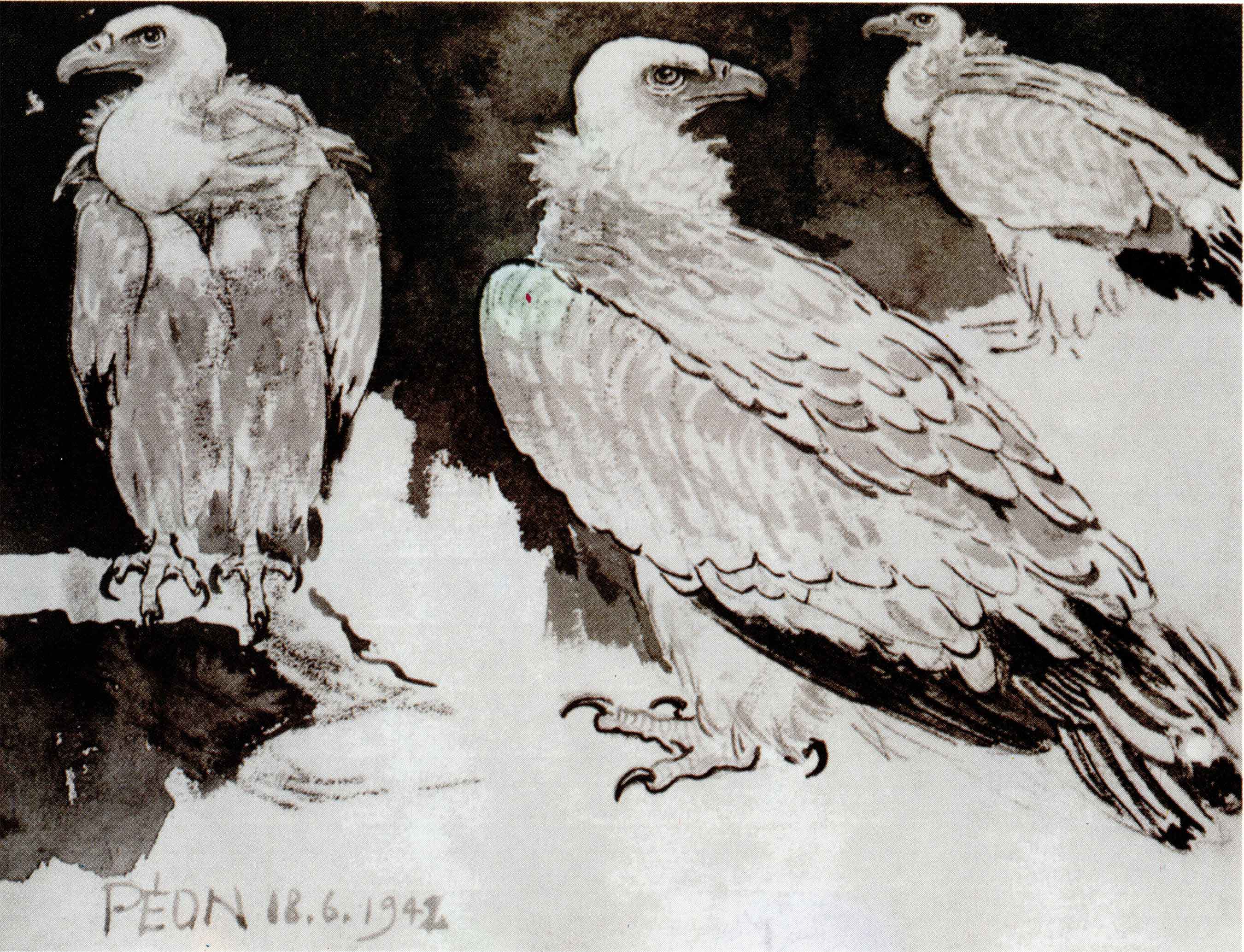 造型的力量——徐悲鸿经典素描集