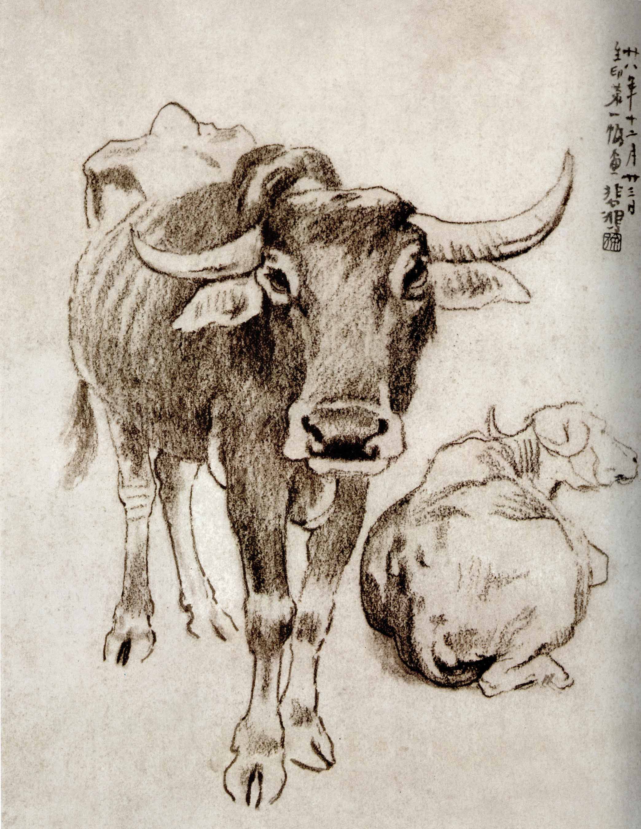 造型的力量——徐悲鸿经典素描集