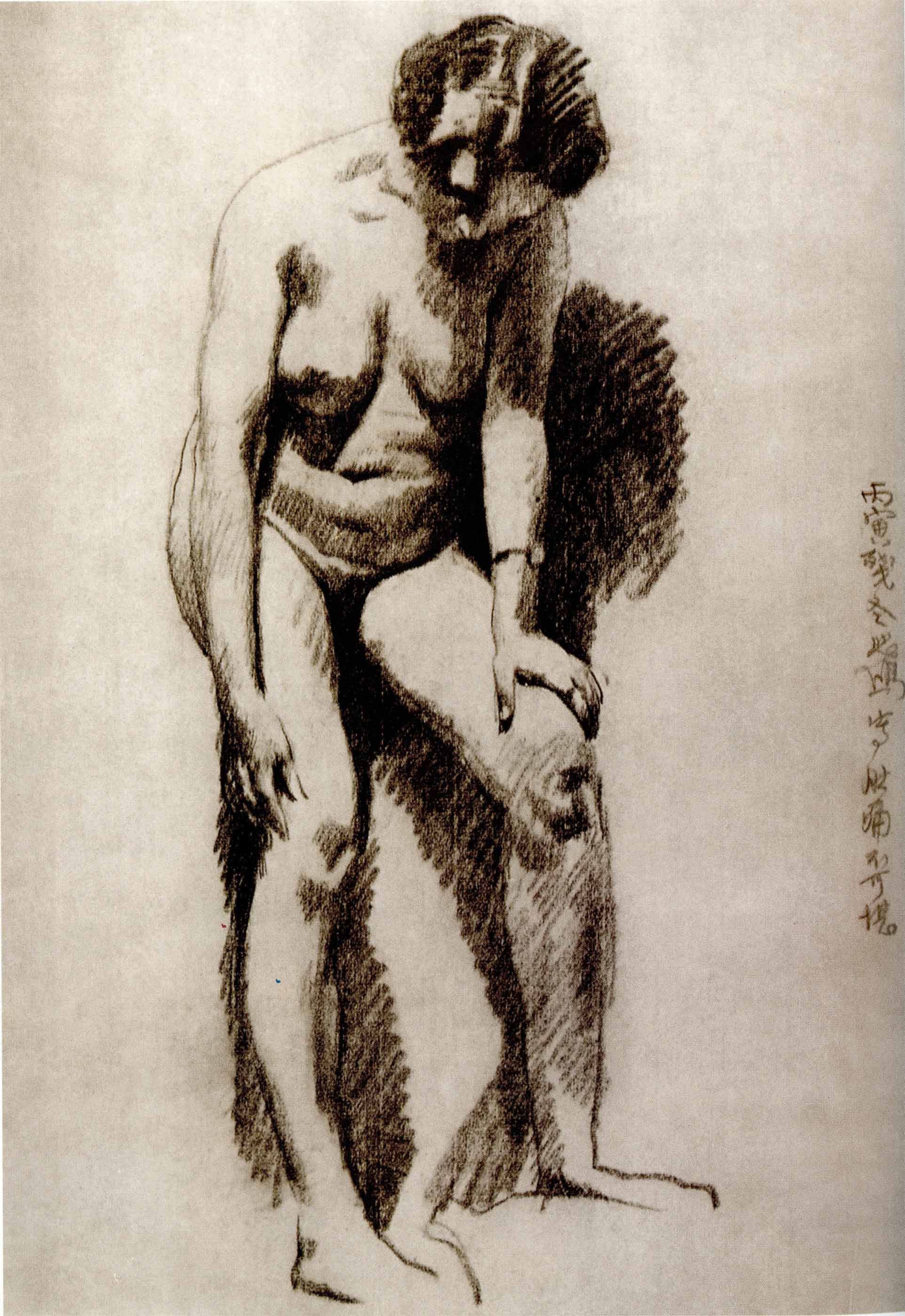 造型的力量——徐悲鸿经典素描集
