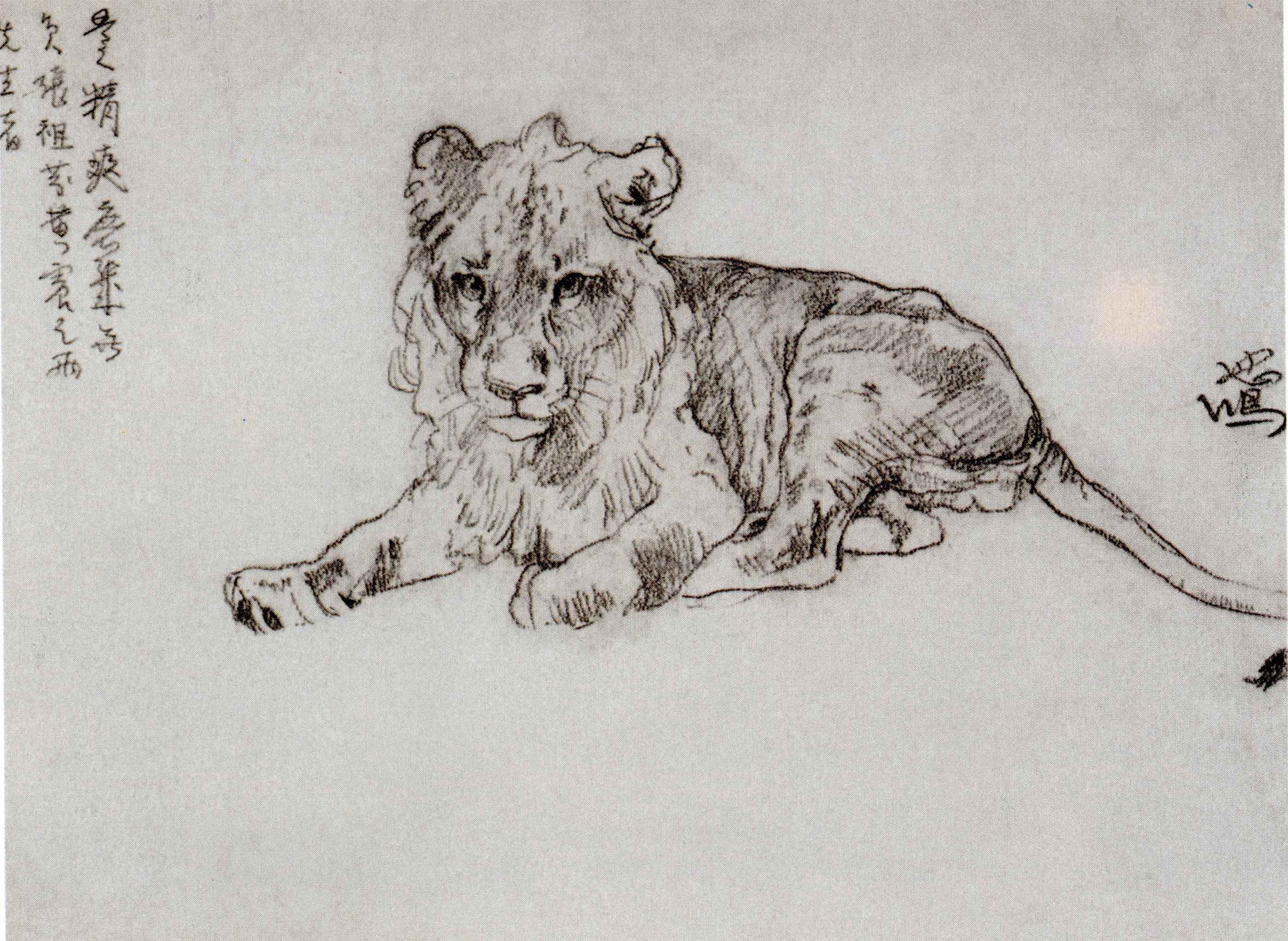 造型的力量——徐悲鸿经典素描集
