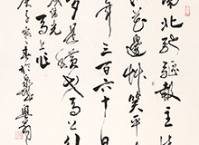 南北驰驱
