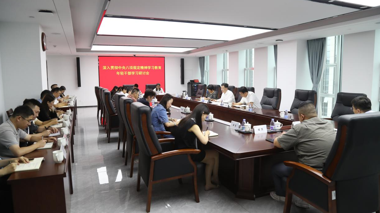 公司召開深入貫徹中央八項規(guī)定精神學習教育年輕干部學習研討會