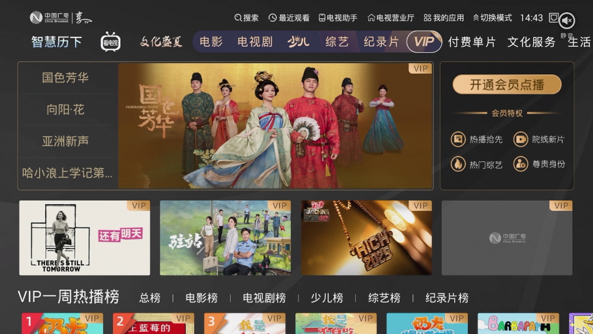 VIP專區(qū)