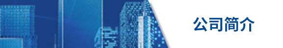 公司簡介