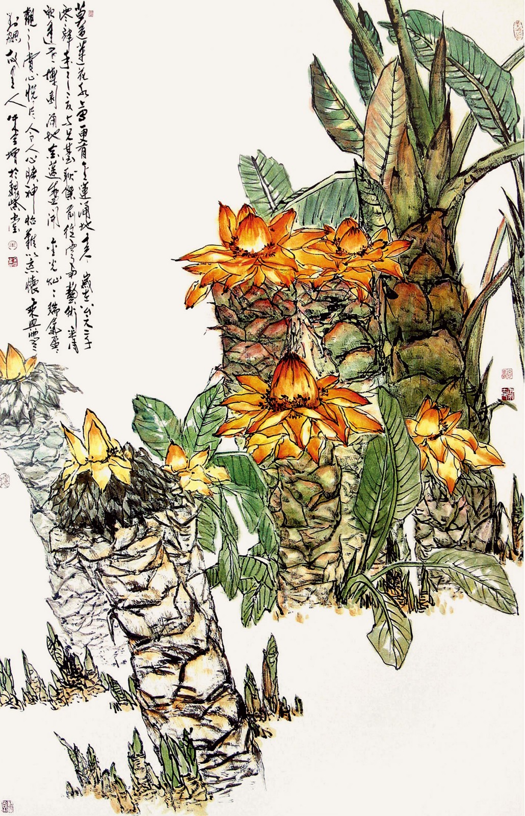 地涌金蓮