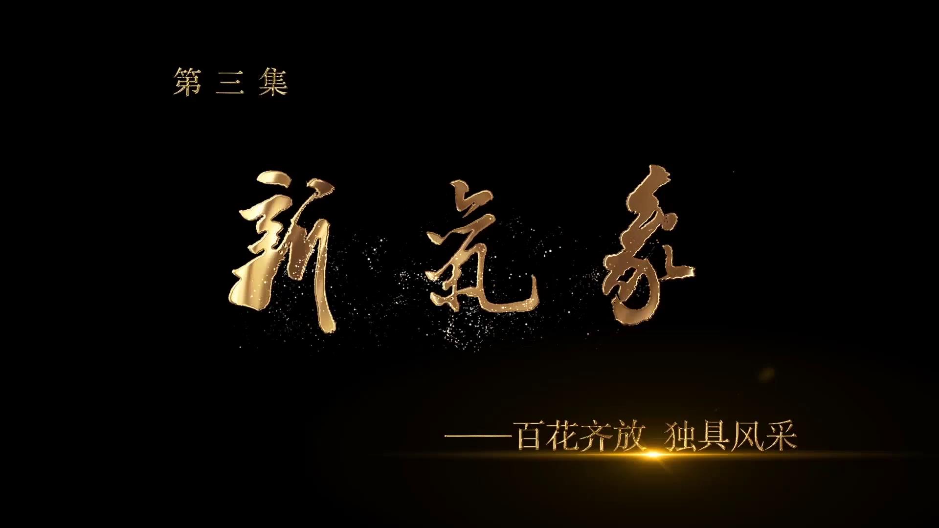 《中国画坛齐鲁风》第三集 新气象——百花齐放·独具风采