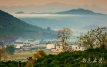 没有红枫、没有银杏，这里却成为了江南最美的秋天