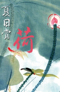 夏日赏荷