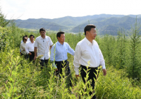 习近平总书记内蒙古考察引发热烈反响