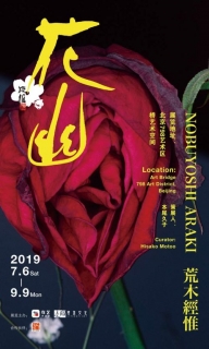 展览|《荒木经惟·花幽 》摄影展