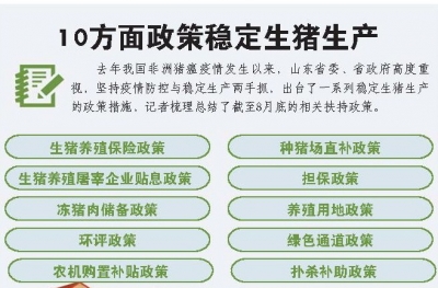 经济深观察丨生猪稳产保供，山东有实招