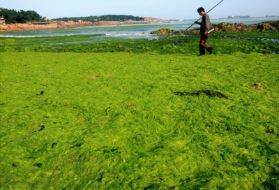 青岛八大关附近海边一名垂钓者扫兴而归